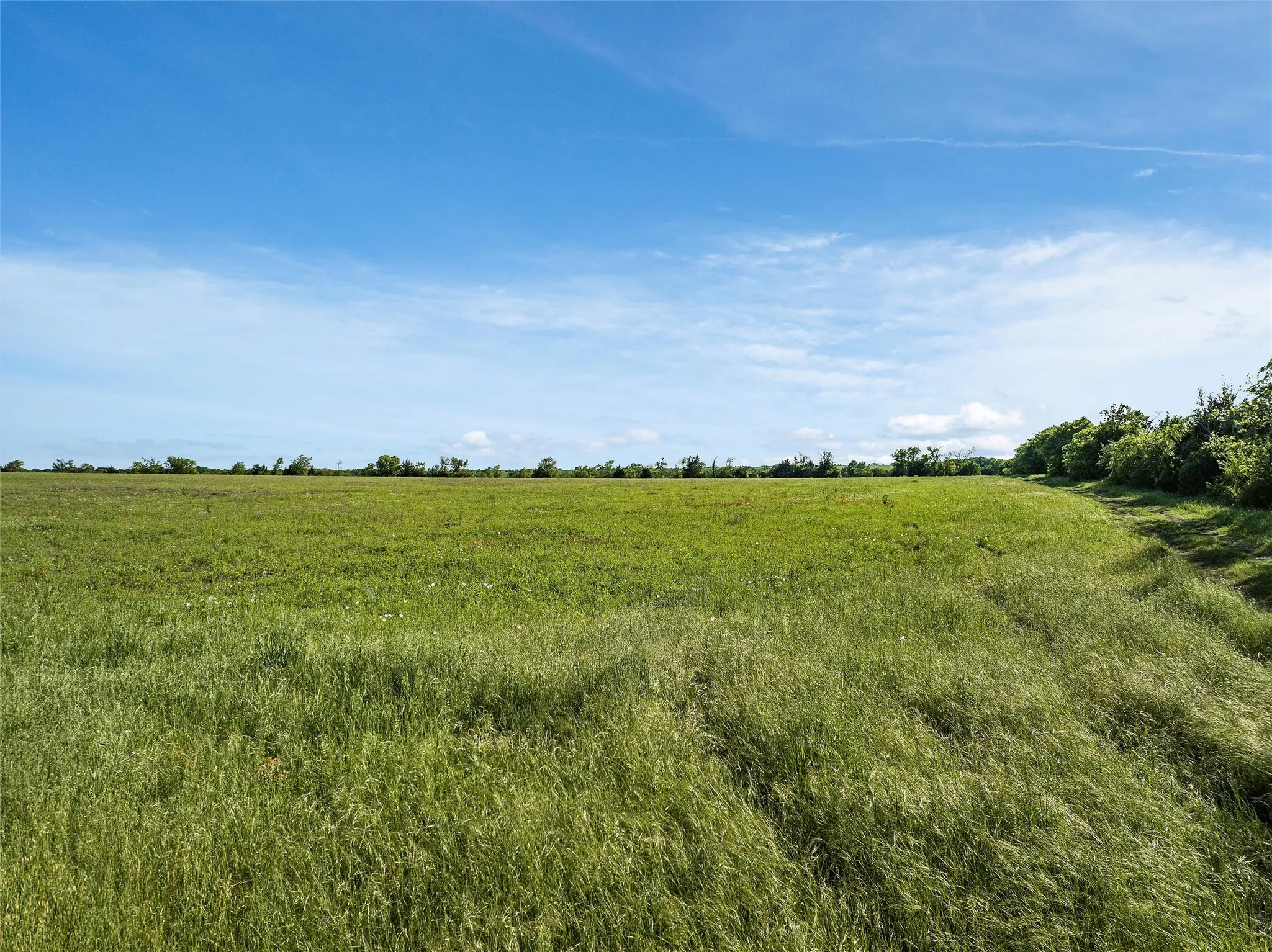 Unimproved Land For Sale in Mc Lennan County , 0 Hoffmeyer Lane, Waco, Texas 76706, 0, 0, Garage spaces, 0 Sqft, built in 0, Price $899,000, mls#21300412, Real Estate Agent in Waco, Homes For Sale in Mc Lennan county, Homes For Sale in Waco, Realtor in Waco Texas, Real Estate Brokerage Independent Realty Texas, Luminita Cordes Realtor
