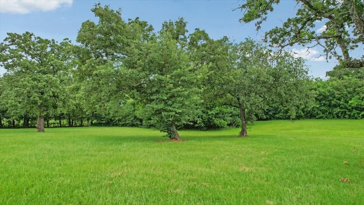 Unimproved Land For Sale in Grayson County , TBD Pronghorn Drive, Gordonville, Texas 76245, 0, 0, Garage spaces, 0 Sqft, built in 0, Price $70,000, mls#21301108, Real Estate Agent in Gordonville, Homes For Sale in Grayson county, Homes For Sale in Gordonville, Realtor in Gordonville Texas, Real Estate Brokerage Independent Realty Texas, Luminita Cordes Realtor