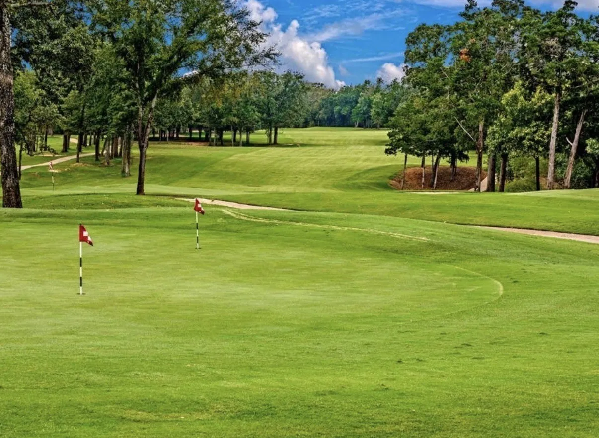 Unimproved Land For Sale in Grayson County , TBD Pronghorn Drive, Gordonville, Texas 76245, 0, 0, Garage spaces, 0 Sqft, built in 0, Price $70,000, mls#21301108, Real Estate Agent in Gordonville, Homes For Sale in Grayson county, Homes For Sale in Gordonville, Realtor in Gordonville Texas, Real Estate Brokerage Independent Realty Texas, Luminita Cordes Realtor