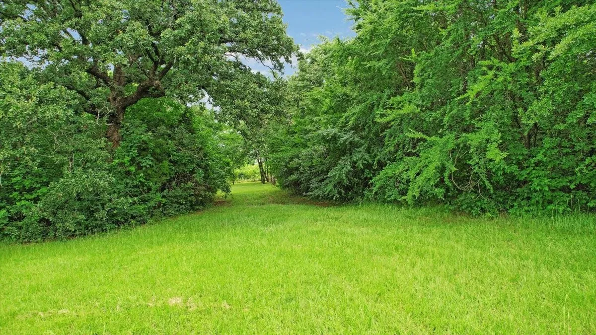Unimproved Land For Sale in Grayson County , TBD Pronghorn Drive, Gordonville, Texas 76245, 0, 0, Garage spaces, 0 Sqft, built in 0, Price $70,000, mls#21301108, Real Estate Agent in Gordonville, Homes For Sale in Grayson county, Homes For Sale in Gordonville, Realtor in Gordonville Texas, Real Estate Brokerage Independent Realty Texas, Luminita Cordes Realtor