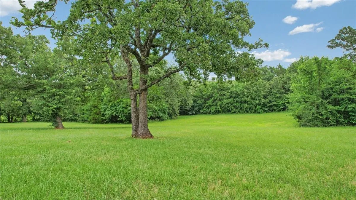 Unimproved Land For Sale in Grayson County , TBD Pronghorn Drive, Gordonville, Texas 76245, 0, 0, Garage spaces, 0 Sqft, built in 0, Price $70,000, mls#21301108, Real Estate Agent in Gordonville, Homes For Sale in Grayson county, Homes For Sale in Gordonville, Realtor in Gordonville Texas, Real Estate Brokerage Independent Realty Texas, Luminita Cordes Realtor