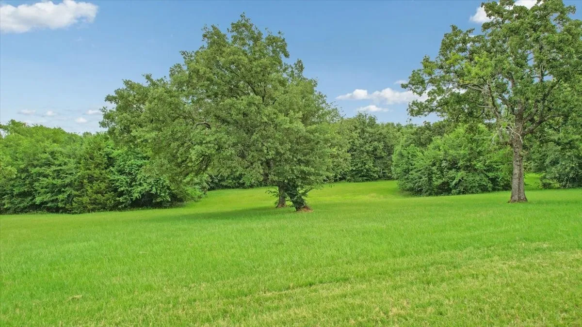 Unimproved Land For Sale in Grayson County , TBD Pronghorn Drive, Gordonville, Texas 76245, 0, 0, Garage spaces, 0 Sqft, built in 0, Price $70,000, mls#21301108, Real Estate Agent in Gordonville, Homes For Sale in Grayson county, Homes For Sale in Gordonville, Realtor in Gordonville Texas, Real Estate Brokerage Independent Realty Texas, Luminita Cordes Realtor