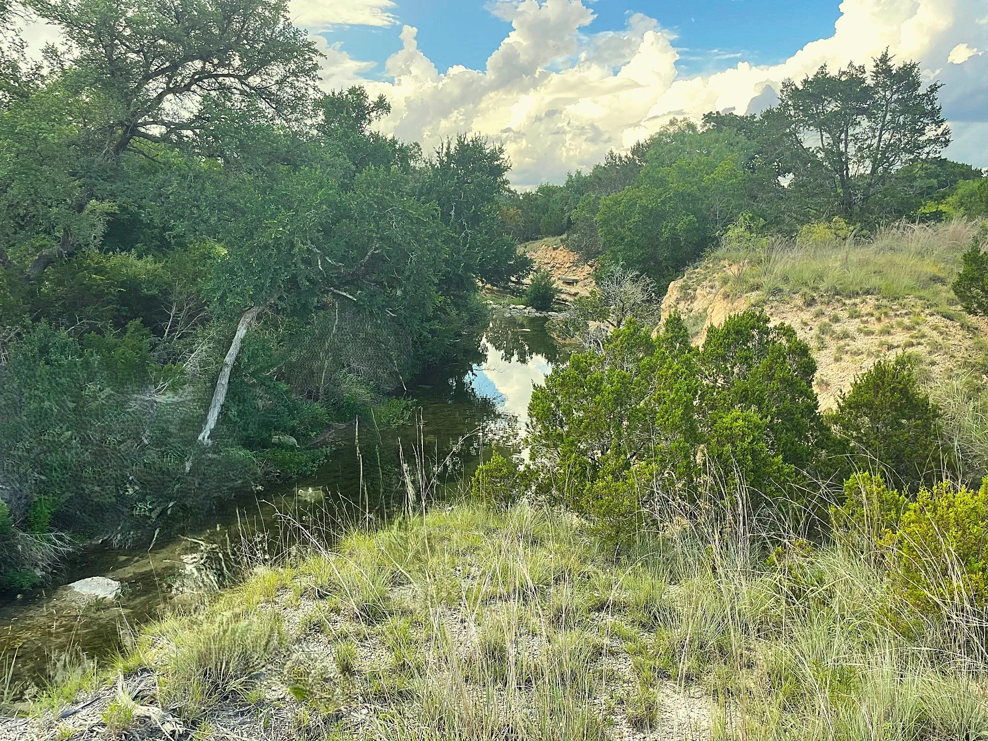 Unimproved Land For Sale in Coryell County , TBD Lot 16 Ph 5, Evant, Texas 76525, 0, 0, Garage spaces, 0 Sqft, built in 0, Price $99,000, mls#21297376, Real Estate Agent in Evant, Homes For Sale in Coryell county, Homes For Sale in Evant, Realtor in Evant Texas, Real Estate Brokerage Independent Realty Texas, Luminita Cordes Realtor