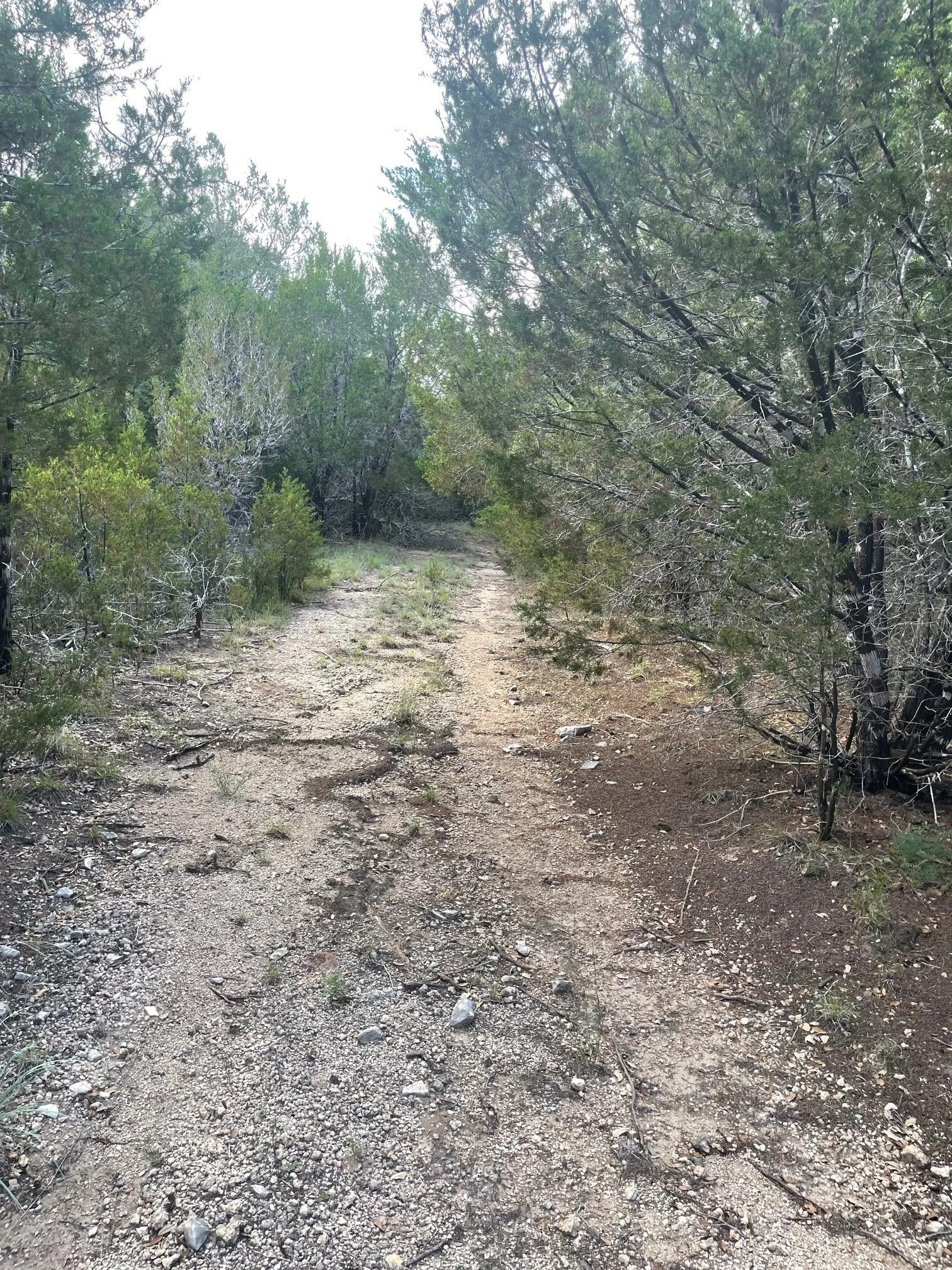 Unimproved Land For Sale in Coryell County , TBD Lot 16 Ph 5, Evant, Texas 76525, 0, 0, Garage spaces, 0 Sqft, built in 0, Price $99,000, mls#21297376, Real Estate Agent in Evant, Homes For Sale in Coryell county, Homes For Sale in Evant, Realtor in Evant Texas, Real Estate Brokerage Independent Realty Texas, Luminita Cordes Realtor