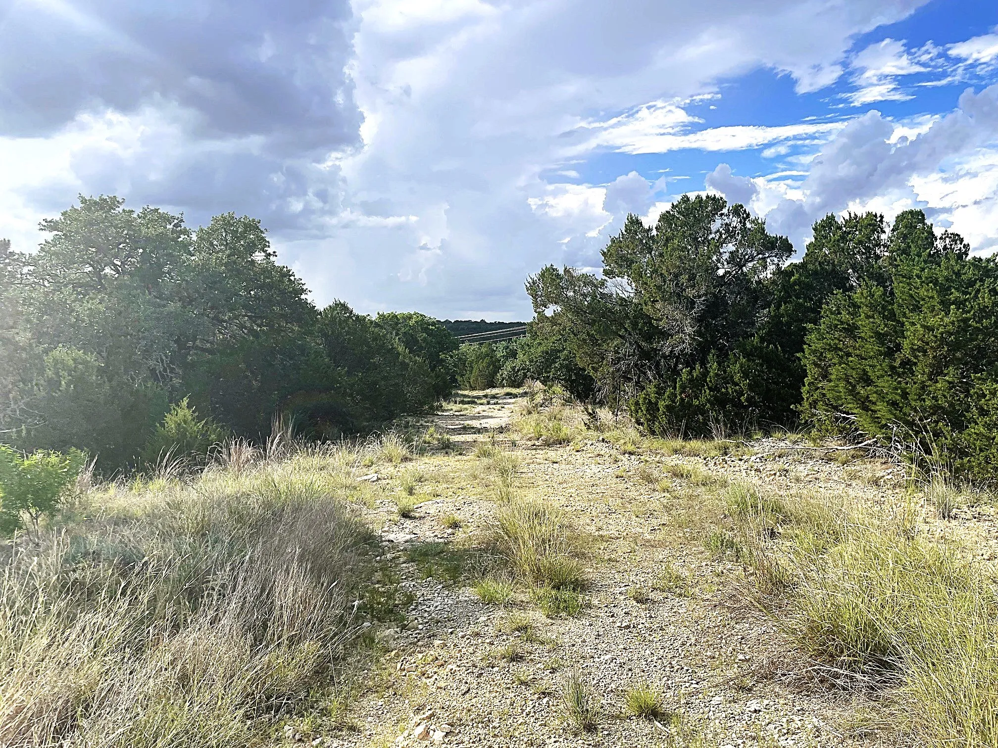 Unimproved Land For Sale in Coryell County , TBD Lot 16 Ph 5, Evant, Texas 76525, 0, 0, Garage spaces, 0 Sqft, built in 0, Price $99,000, mls#21297376, Real Estate Agent in Evant, Homes For Sale in Coryell county, Homes For Sale in Evant, Realtor in Evant Texas, Real Estate Brokerage Independent Realty Texas, Luminita Cordes Realtor
