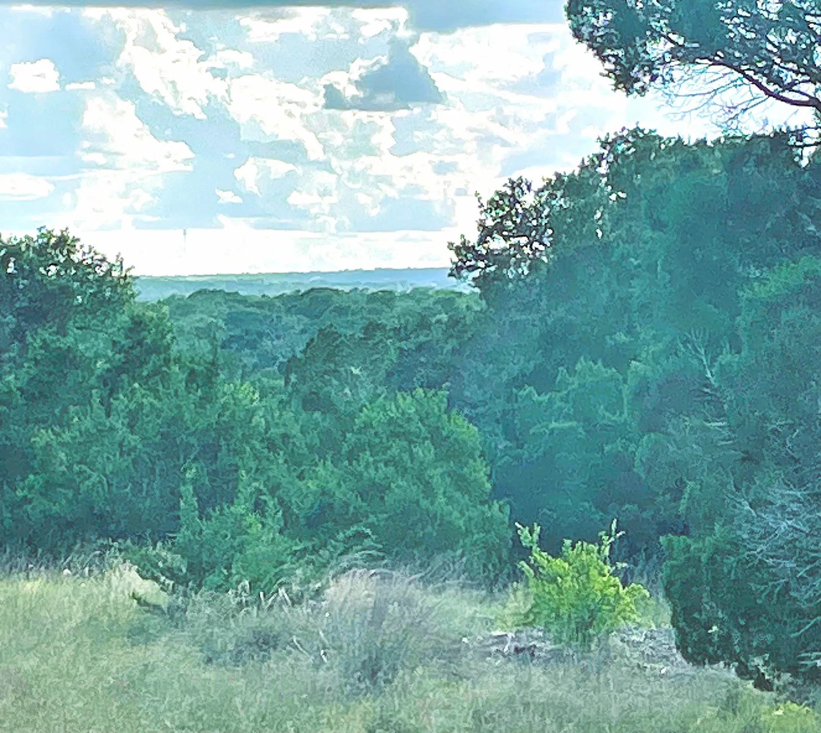 Unimproved Land For Sale in Coryell County , TBD Lot 16 Ph 5, Evant, Texas 76525, 0, 0, Garage spaces, 0 Sqft, built in 0, Price $99,000, mls#21297376, Real Estate Agent in Evant, Homes For Sale in Coryell county, Homes For Sale in Evant, Realtor in Evant Texas, Real Estate Brokerage Independent Realty Texas, Luminita Cordes Realtor