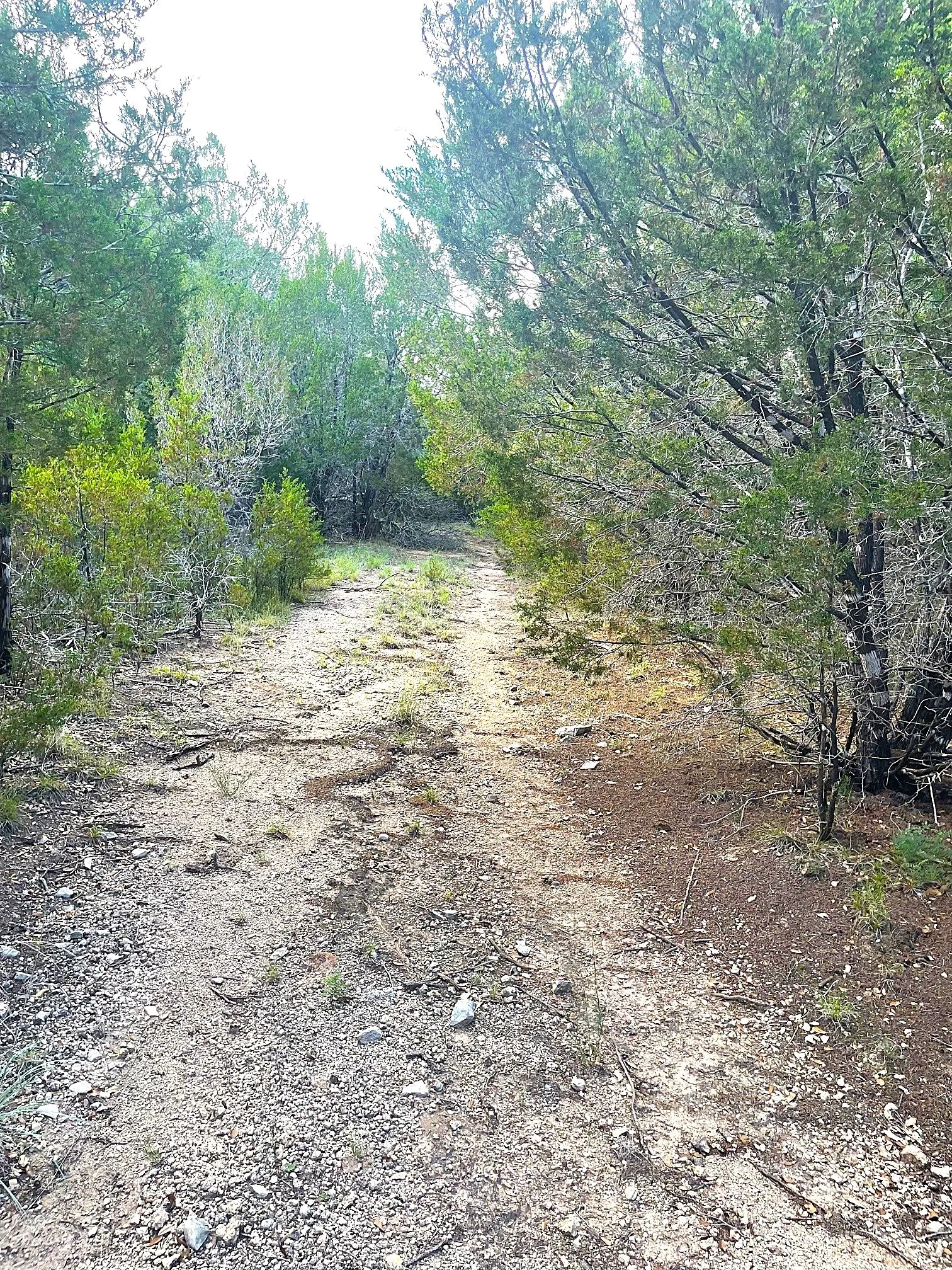 Unimproved Land For Sale in Coryell County , TBD Lot 16 Ph 5, Evant, Texas 76525, 0, 0, Garage spaces, 0 Sqft, built in 0, Price $99,000, mls#21297376, Real Estate Agent in Evant, Homes For Sale in Coryell county, Homes For Sale in Evant, Realtor in Evant Texas, Real Estate Brokerage Independent Realty Texas, Luminita Cordes Realtor