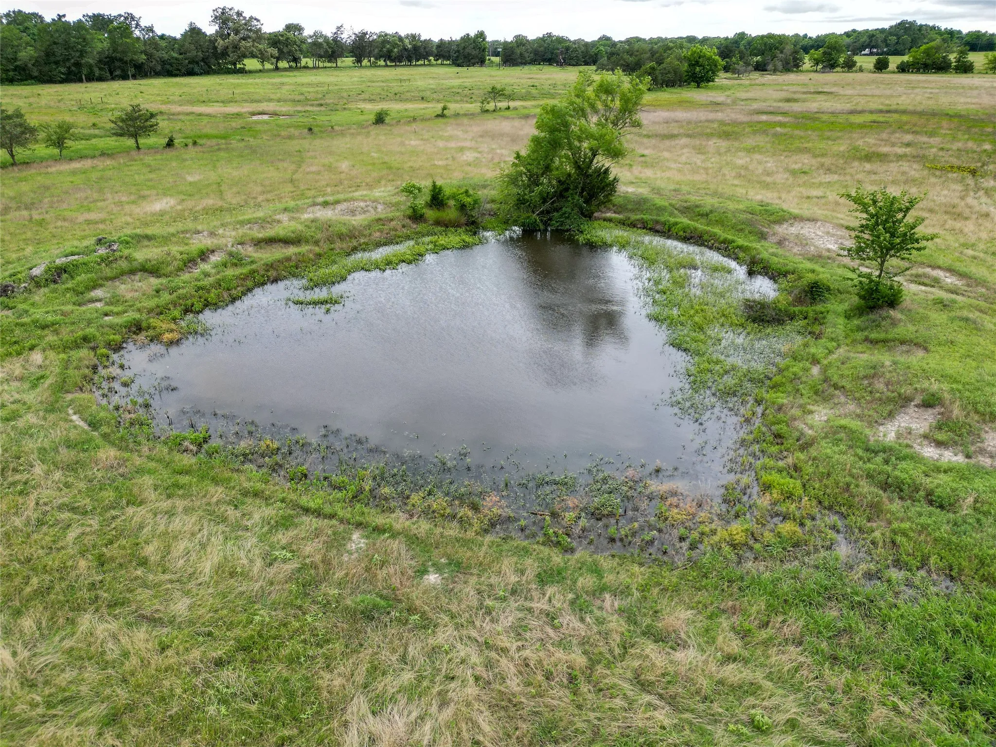 Unimproved Land For Sale in Wood County , TBD County Road 4878, Winnsboro, Texas 75494, 0, 0, Garage spaces, 0 Sqft, built in 0, Price $150,000, mls#21301139, Real Estate Agent in Winnsboro, Homes For Sale in Wood county, Homes For Sale in Winnsboro, Realtor in Winnsboro Texas, Real Estate Brokerage Independent Realty Texas, Luminita Cordes Realtor