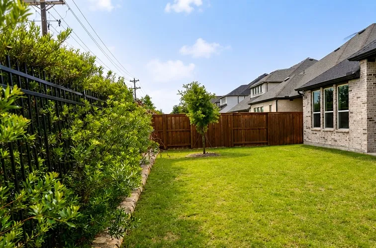 Expansive green lawn