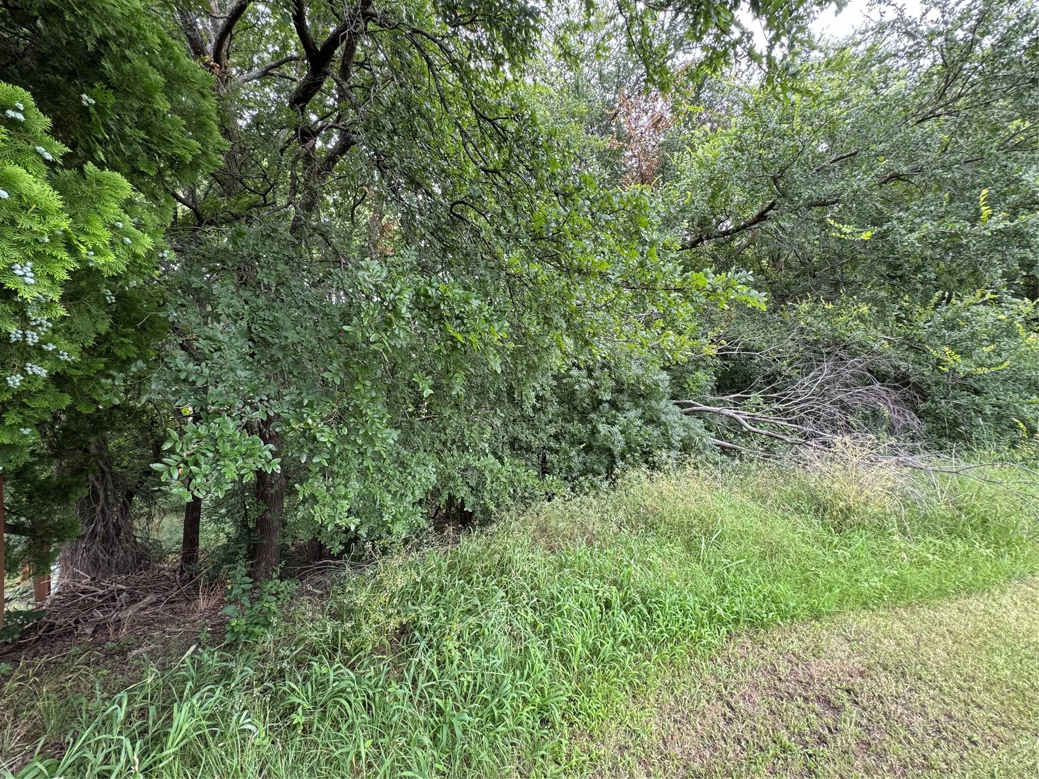 Unimproved Land For Sale in Grayson County , 1804 Timberline Lane, Sherman, Texas 75092, 0, 0, Garage spaces, 0 Sqft, built in 0, mls#21300358, Real Estate Agent in Sherman, Homes For Sale in Grayson county, Homes For Sale in Sherman, Realtor in Sherman Texas, Real Estate Brokerage Independent Realty Texas, Luminita Cordes Realtor