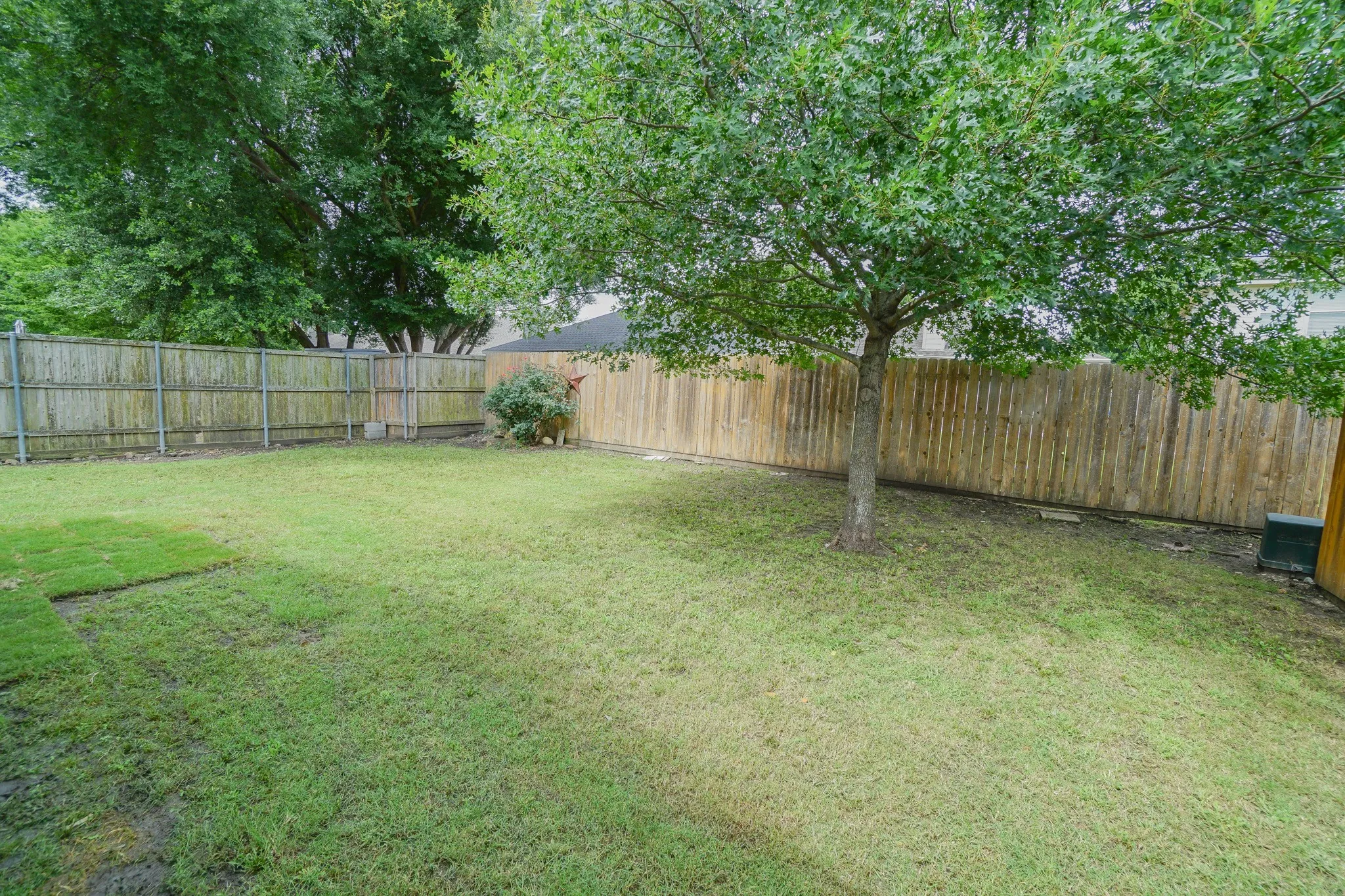 Expansive backyard featuring a mature tree, perimeter wood fencing, and a partial section of newly laid sod