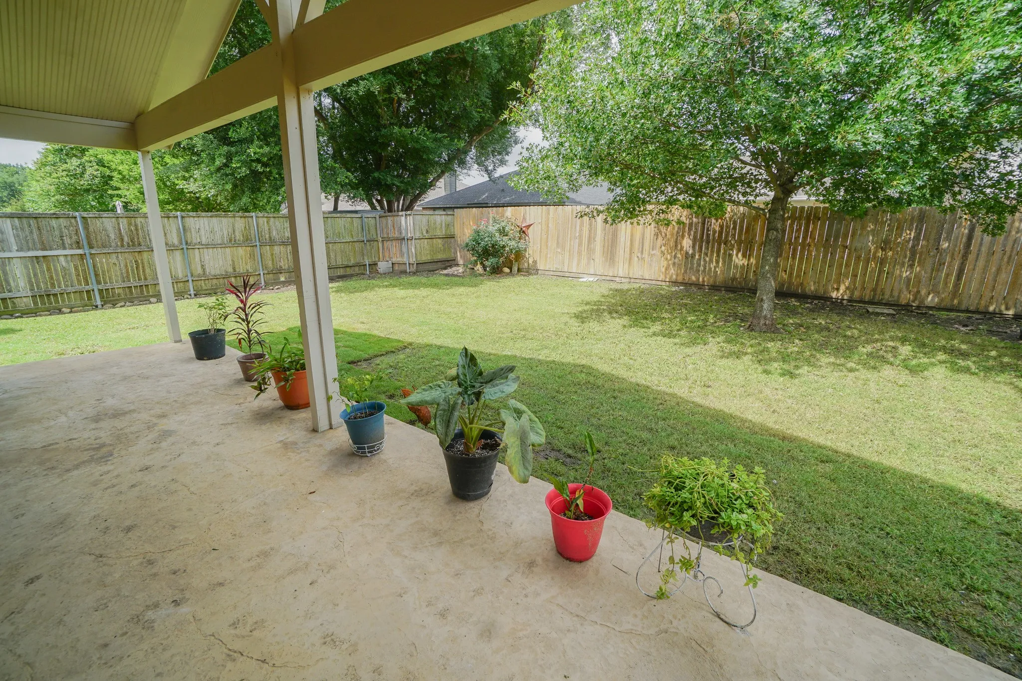 Expansive backyard featuring a covered concrete patio, mature tree, and full perimeter wood fencing