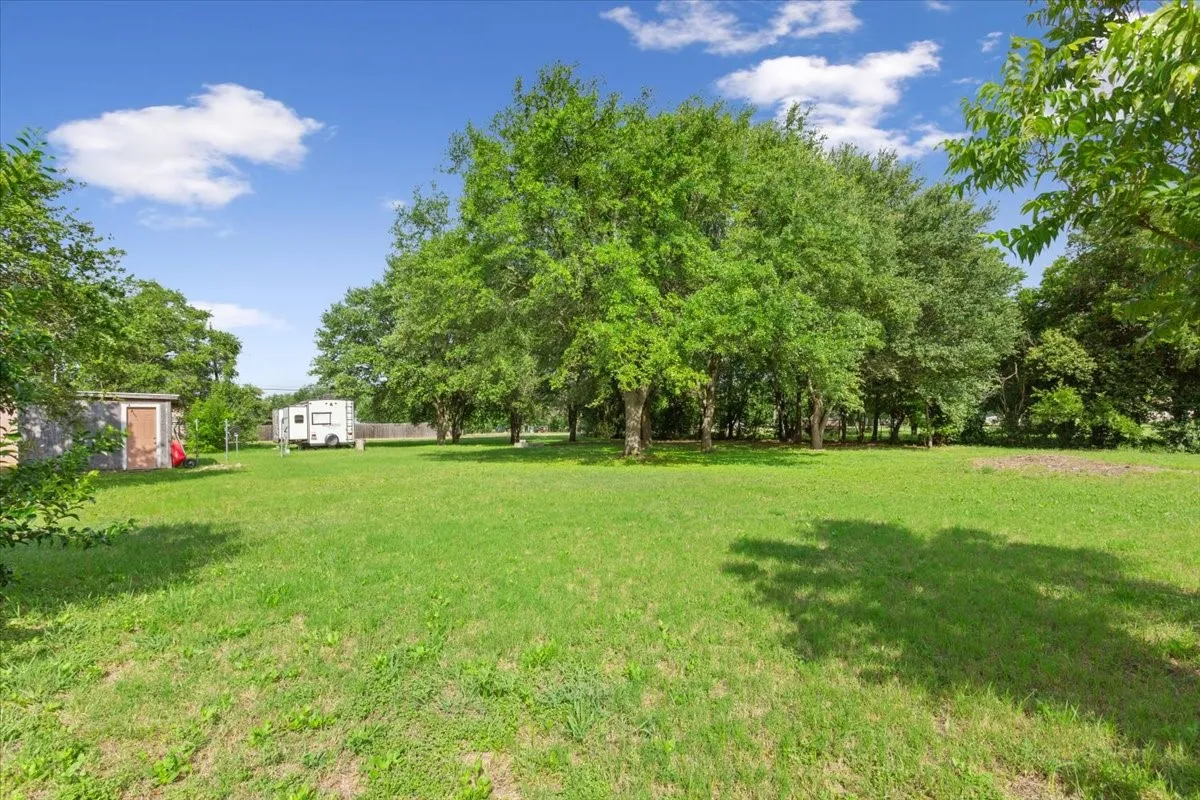 Backyard West Side