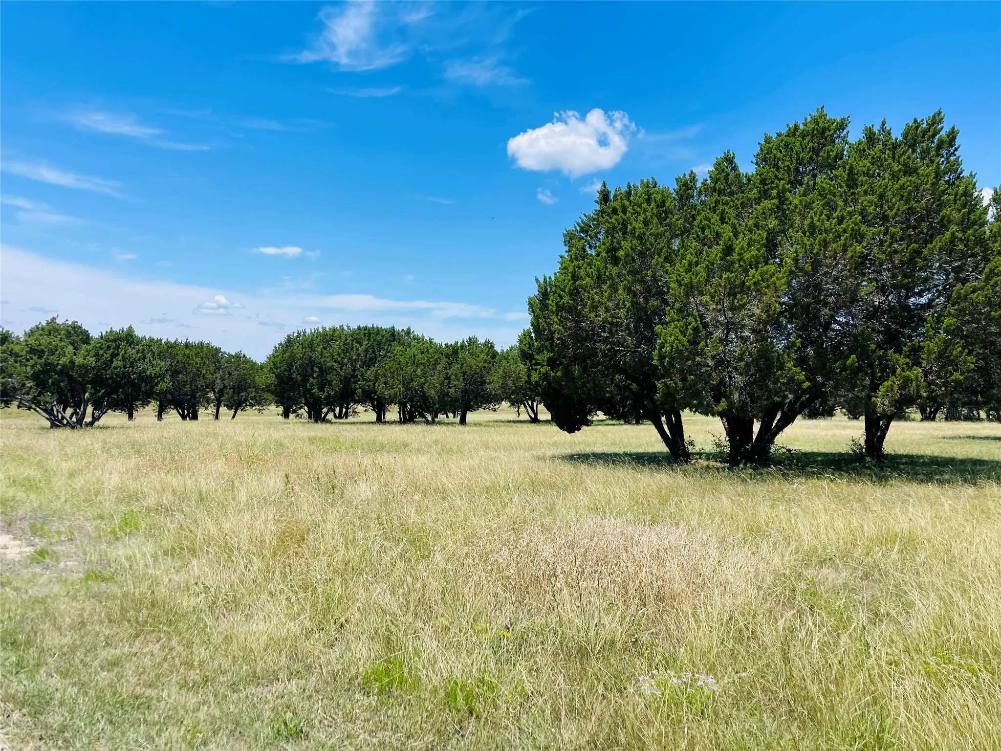 Single Family Residence For Sale in Hill County , 125 Patriot Drive, Whitney, Texas 76692, 1 Bedroom, 1 Bathroom, Garage spaces, 500 Sqft, built in 2023, Price $115,000, mls#21299373, Real Estate Agent in Whitney, Homes For Sale in Hill county, Homes For Sale in Whitney, Realtor in Whitney Texas, Real Estate Brokerage Independent Realty Texas, Luminita Cordes Realtor