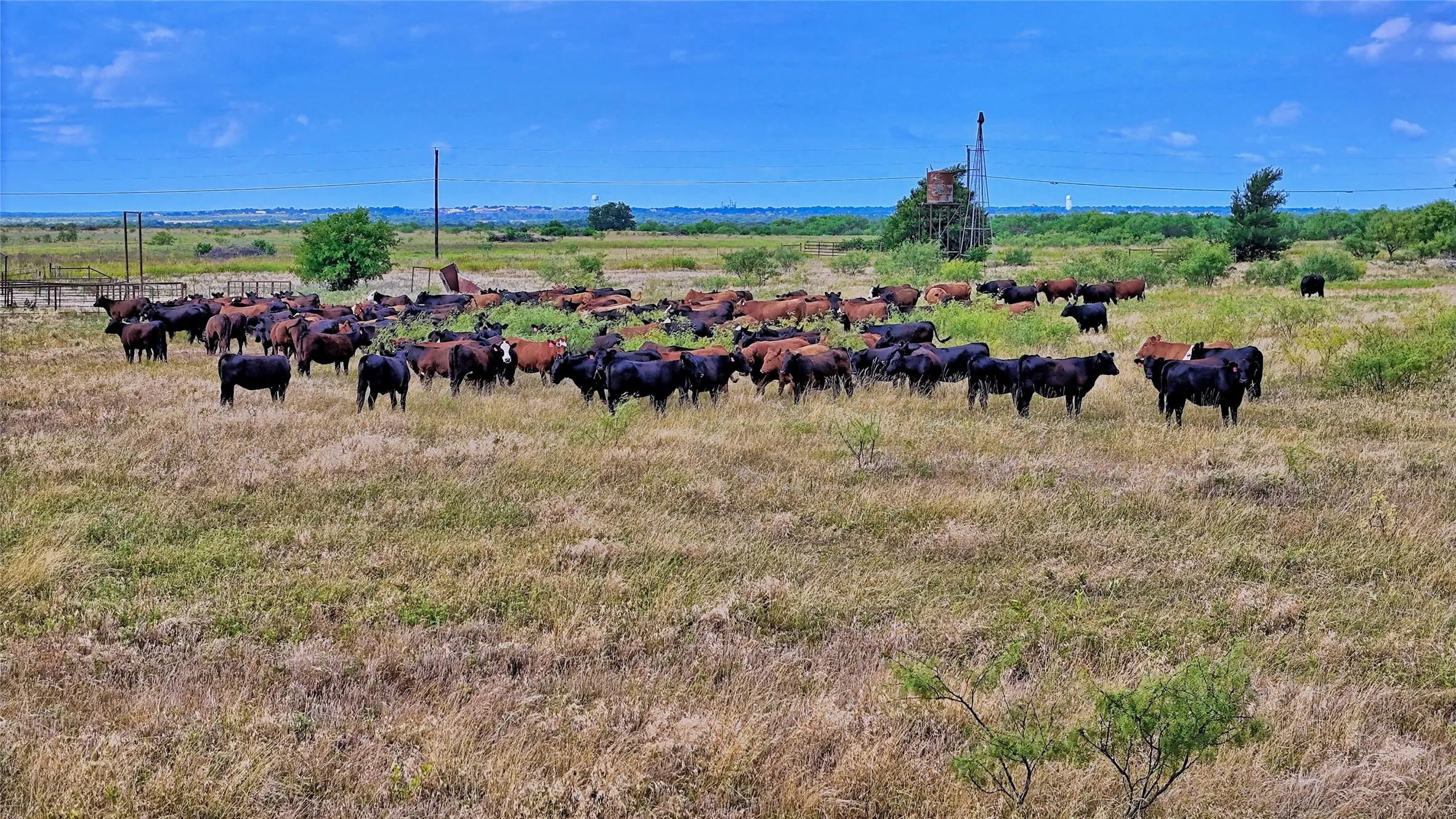 Farm For Sale in Clay County , 576 Seabourn Road, Henrietta, Texas 76365, 2 Bedroom, 2 Bathroom, Garage spaces, 1,100 Sqft, built in 2016, mls#21301197, Real Estate Agent in Henrietta, Homes For Sale in Clay county, Homes For Sale in Henrietta, Realtor in Henrietta Texas, Real Estate Brokerage Independent Realty Texas, Luminita Cordes Realtor