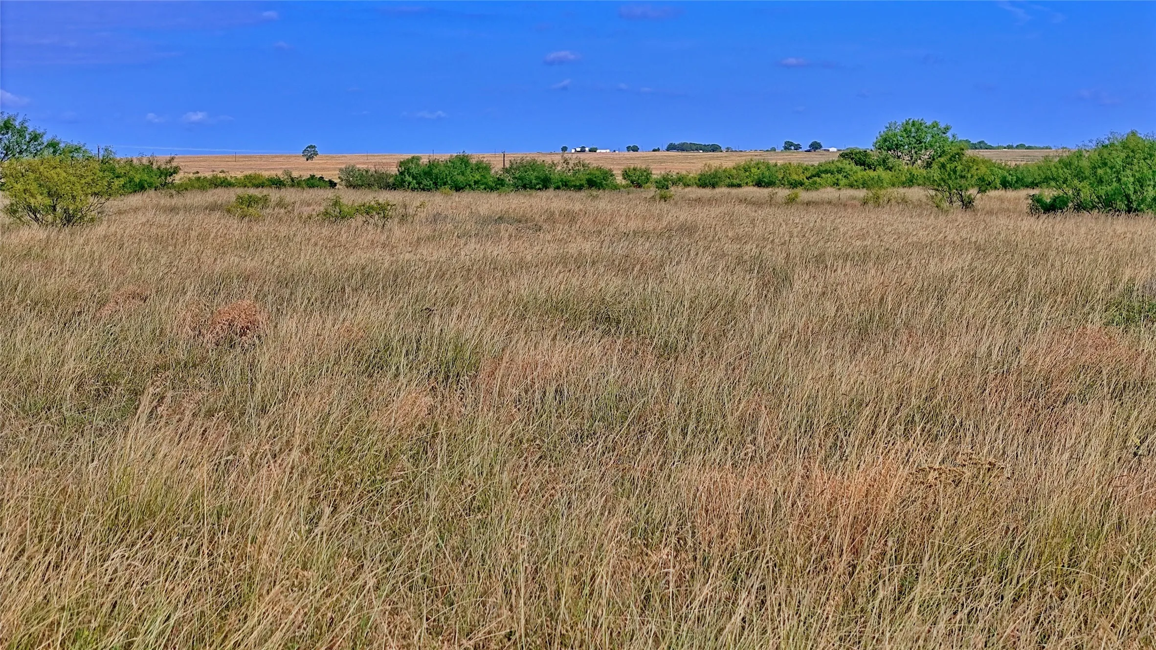 Farm For Sale in Clay County , 576 Seabourn Road, Henrietta, Texas 76365, 2 Bedroom, 2 Bathroom, Garage spaces, 1,100 Sqft, built in 2016, mls#21301197, Real Estate Agent in Henrietta, Homes For Sale in Clay county, Homes For Sale in Henrietta, Realtor in Henrietta Texas, Real Estate Brokerage Independent Realty Texas, Luminita Cordes Realtor