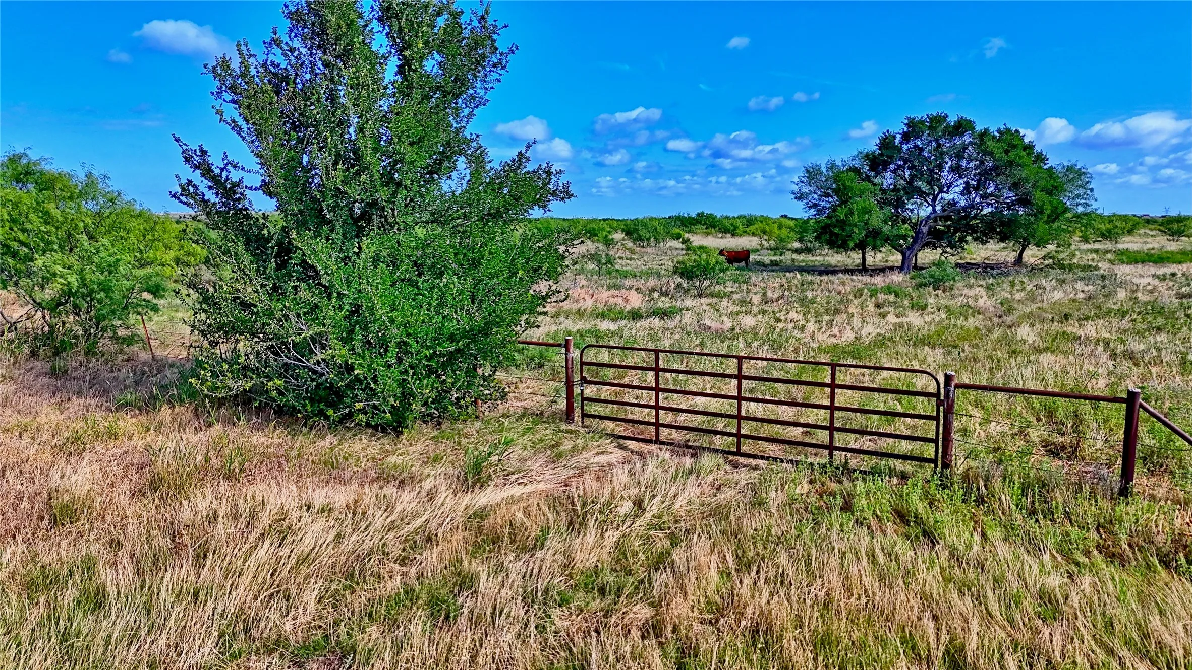 Farm For Sale in Clay County , 576 Seabourn Road, Henrietta, Texas 76365, 2 Bedroom, 2 Bathroom, Garage spaces, 1,100 Sqft, built in 2016, mls#21301197, Real Estate Agent in Henrietta, Homes For Sale in Clay county, Homes For Sale in Henrietta, Realtor in Henrietta Texas, Real Estate Brokerage Independent Realty Texas, Luminita Cordes Realtor