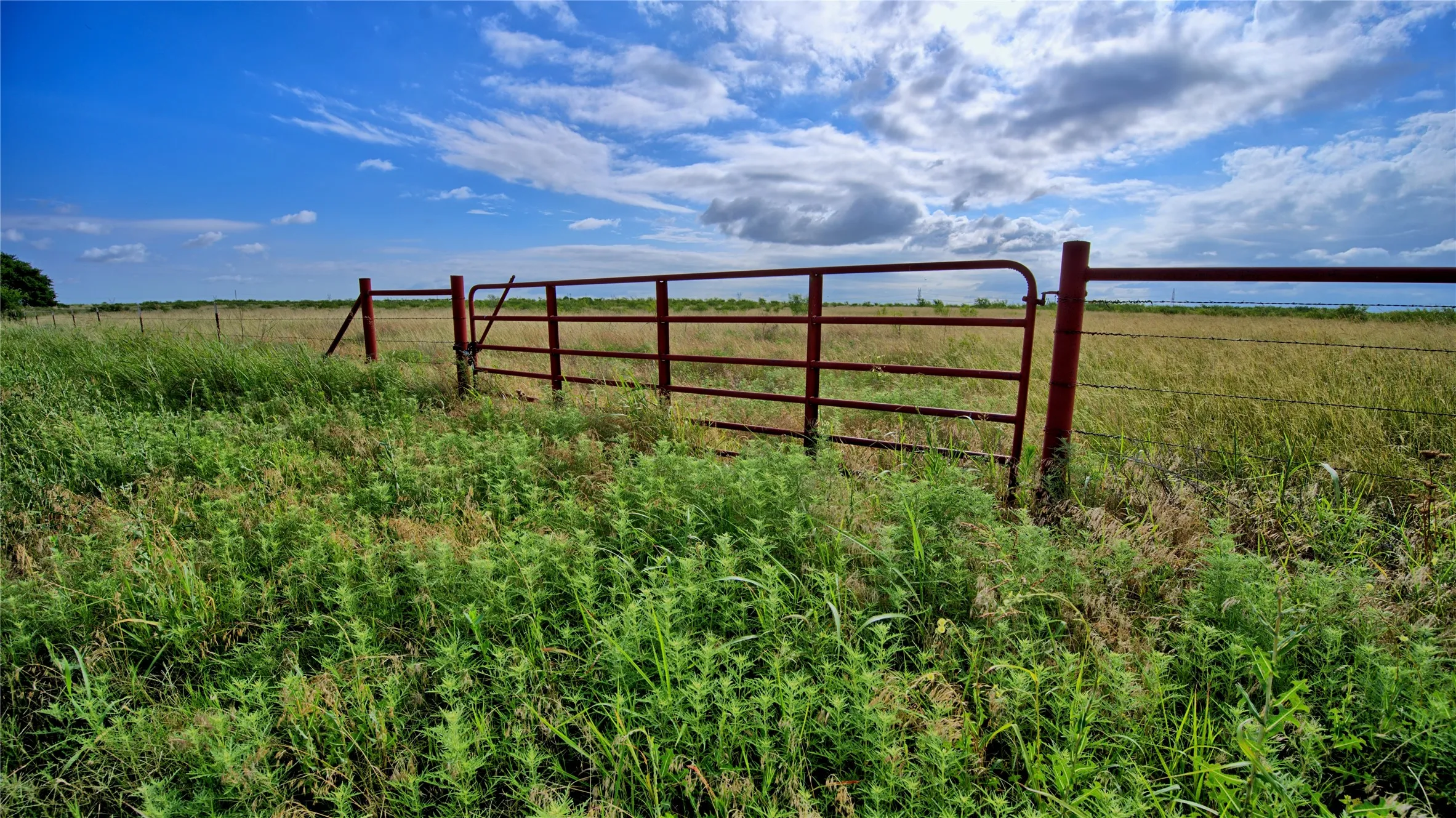Farm For Sale in Clay County , 576 Seabourn Road, Henrietta, Texas 76365, 2 Bedroom, 2 Bathroom, Garage spaces, 1,100 Sqft, built in 2016, mls#21301197, Real Estate Agent in Henrietta, Homes For Sale in Clay county, Homes For Sale in Henrietta, Realtor in Henrietta Texas, Real Estate Brokerage Independent Realty Texas, Luminita Cordes Realtor