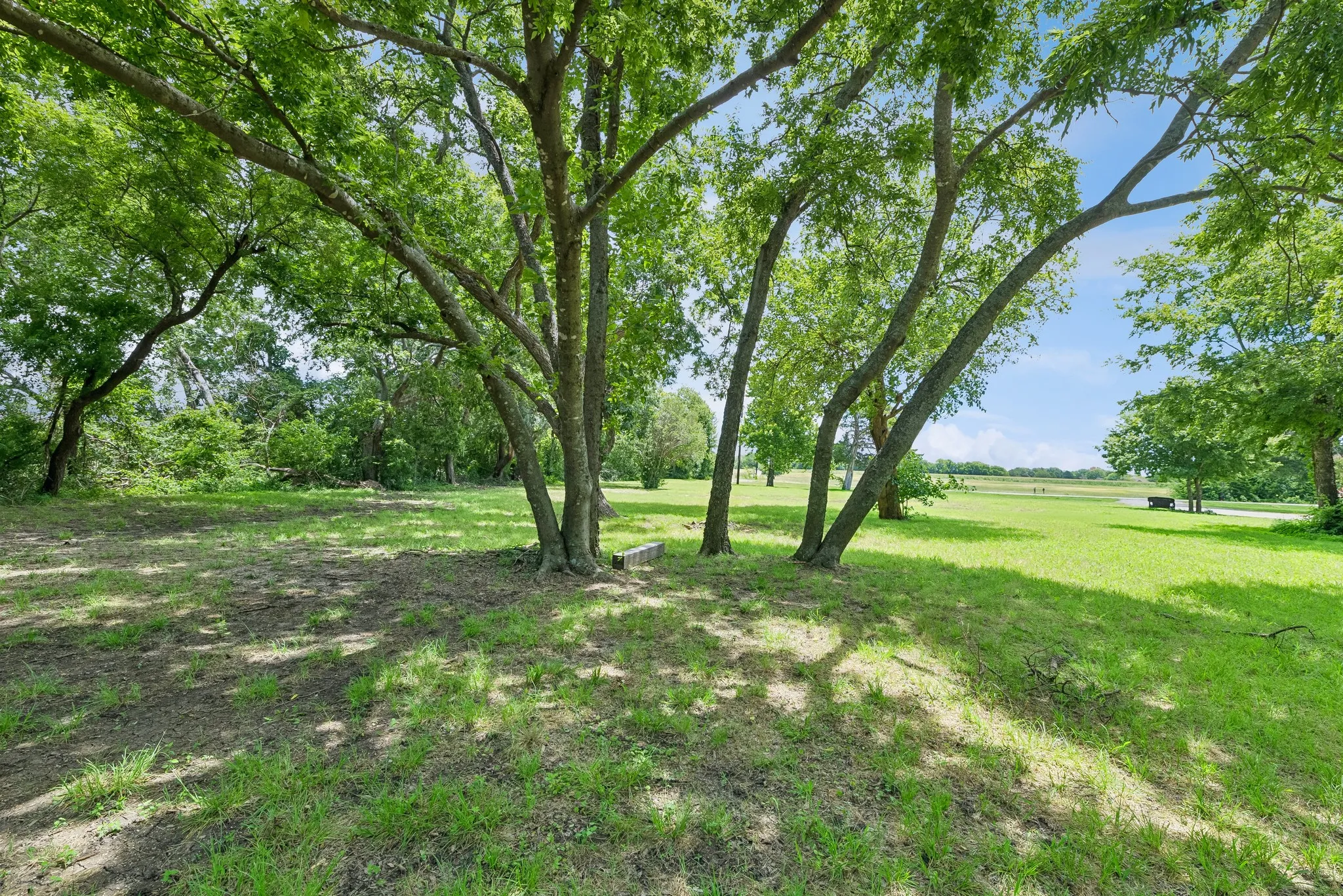 Unimproved Land For Sale in Collin County , 286 W Forest Grove Road, Lucas, Texas 75002, 0, 0, Garage spaces, 0 Sqft, built in 1960, mls#21296415, Real Estate Agent in Lucas, Homes For Sale in Collin county, Homes For Sale in Lucas, Realtor in Lucas Texas, Real Estate Brokerage Independent Realty Texas, Luminita Cordes Realtor