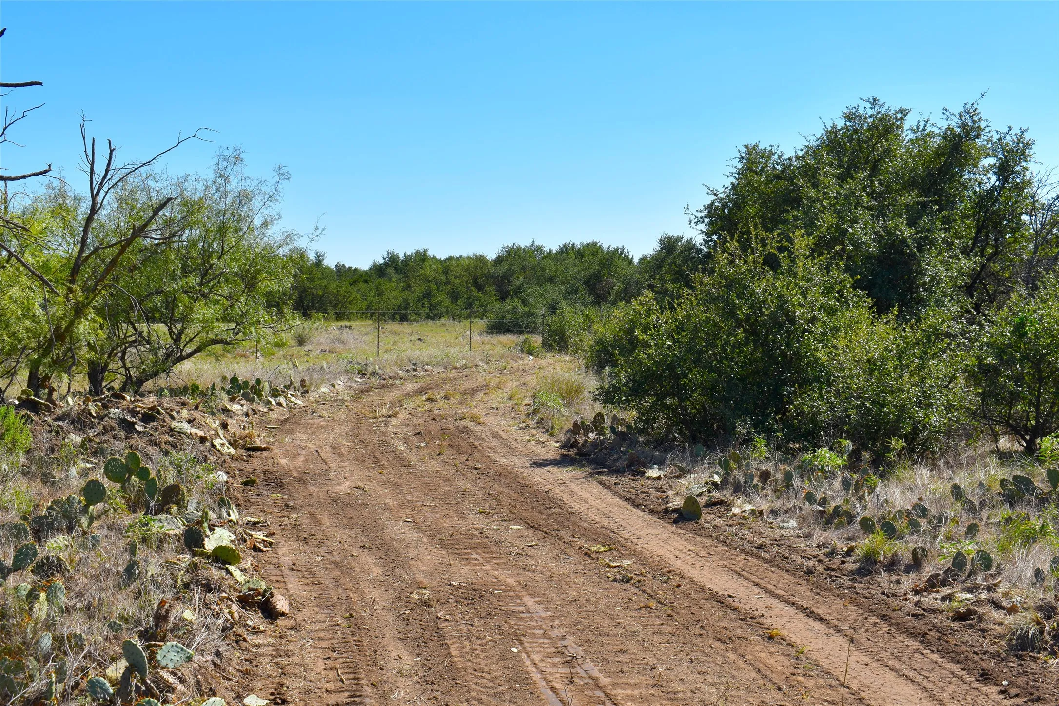Unimproved Land For Sale in Stephens County , TBD E FM 576, Breckenridge, Texas 76434, 0, 0, Garage spaces, 0 Sqft, built in 0, mls#21300132, Real Estate Agent in Breckenridge, Homes For Sale in Stephens county, Homes For Sale in Breckenridge, Realtor in Breckenridge Texas, Real Estate Brokerage Independent Realty Texas, Luminita Cordes Realtor