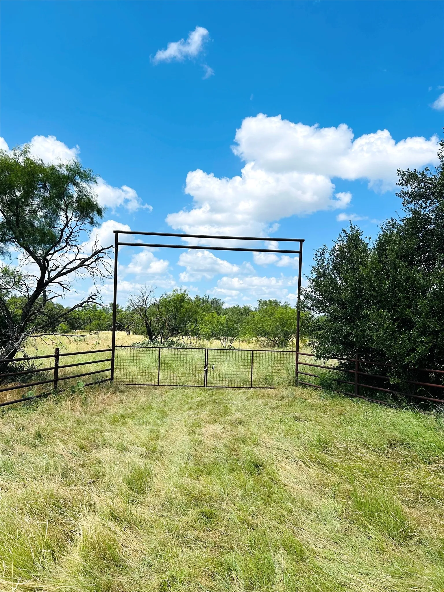 Unimproved Land For Sale in Stephens County , TBD E FM 576, Breckenridge, Texas 76434, 0, 0, Garage spaces, 0 Sqft, built in 0, mls#21300132, Real Estate Agent in Breckenridge, Homes For Sale in Stephens county, Homes For Sale in Breckenridge, Realtor in Breckenridge Texas, Real Estate Brokerage Independent Realty Texas, Luminita Cordes Realtor