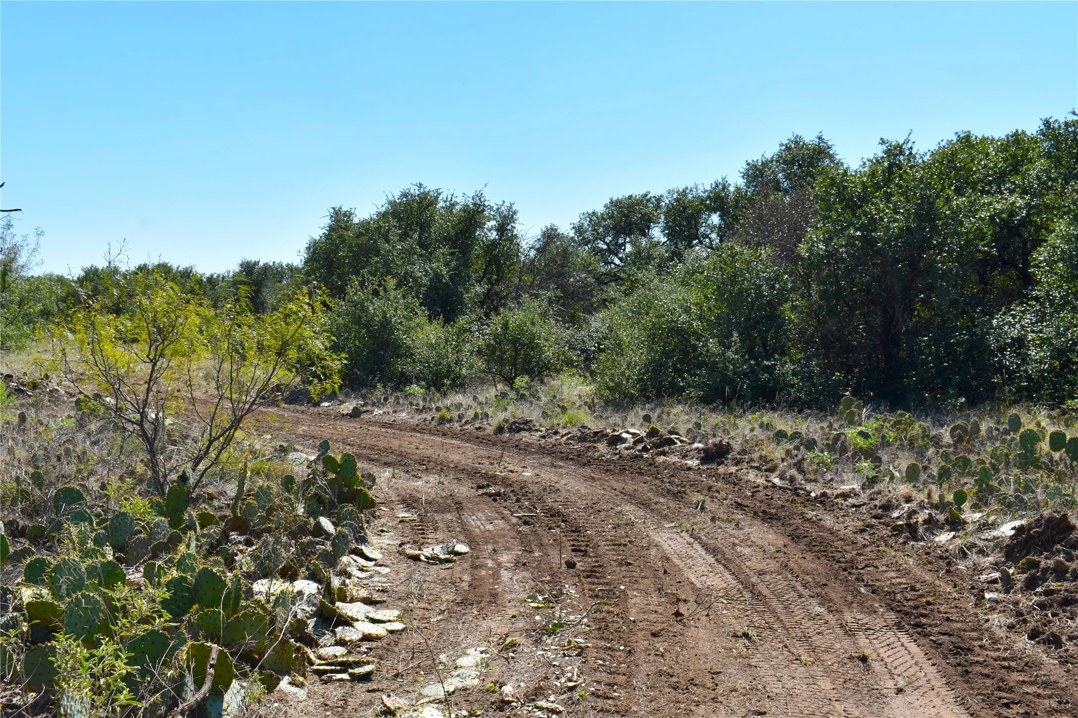 Unimproved Land For Sale in Stephens County , TBD E FM 576, Breckenridge, Texas 76434, 0, 0, Garage spaces, 0 Sqft, built in 0, mls#21300132, Real Estate Agent in Breckenridge, Homes For Sale in Stephens county, Homes For Sale in Breckenridge, Realtor in Breckenridge Texas, Real Estate Brokerage Independent Realty Texas, Luminita Cordes Realtor