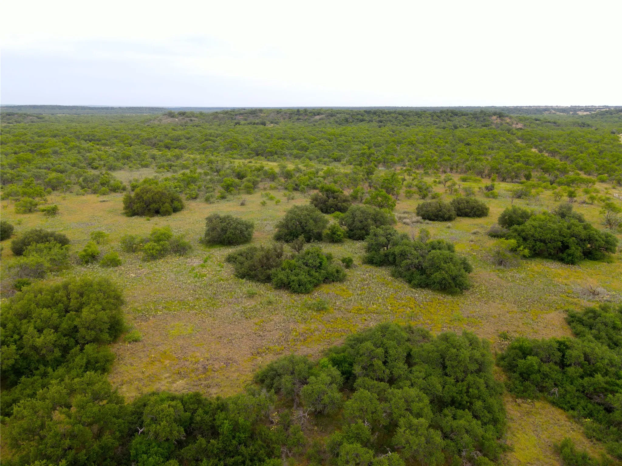 Unimproved Land For Sale in Stephens County , TBD E FM 576, Breckenridge, Texas 76434, 0, 0, Garage spaces, 0 Sqft, built in 0, mls#21300132, Real Estate Agent in Breckenridge, Homes For Sale in Stephens county, Homes For Sale in Breckenridge, Realtor in Breckenridge Texas, Real Estate Brokerage Independent Realty Texas, Luminita Cordes Realtor