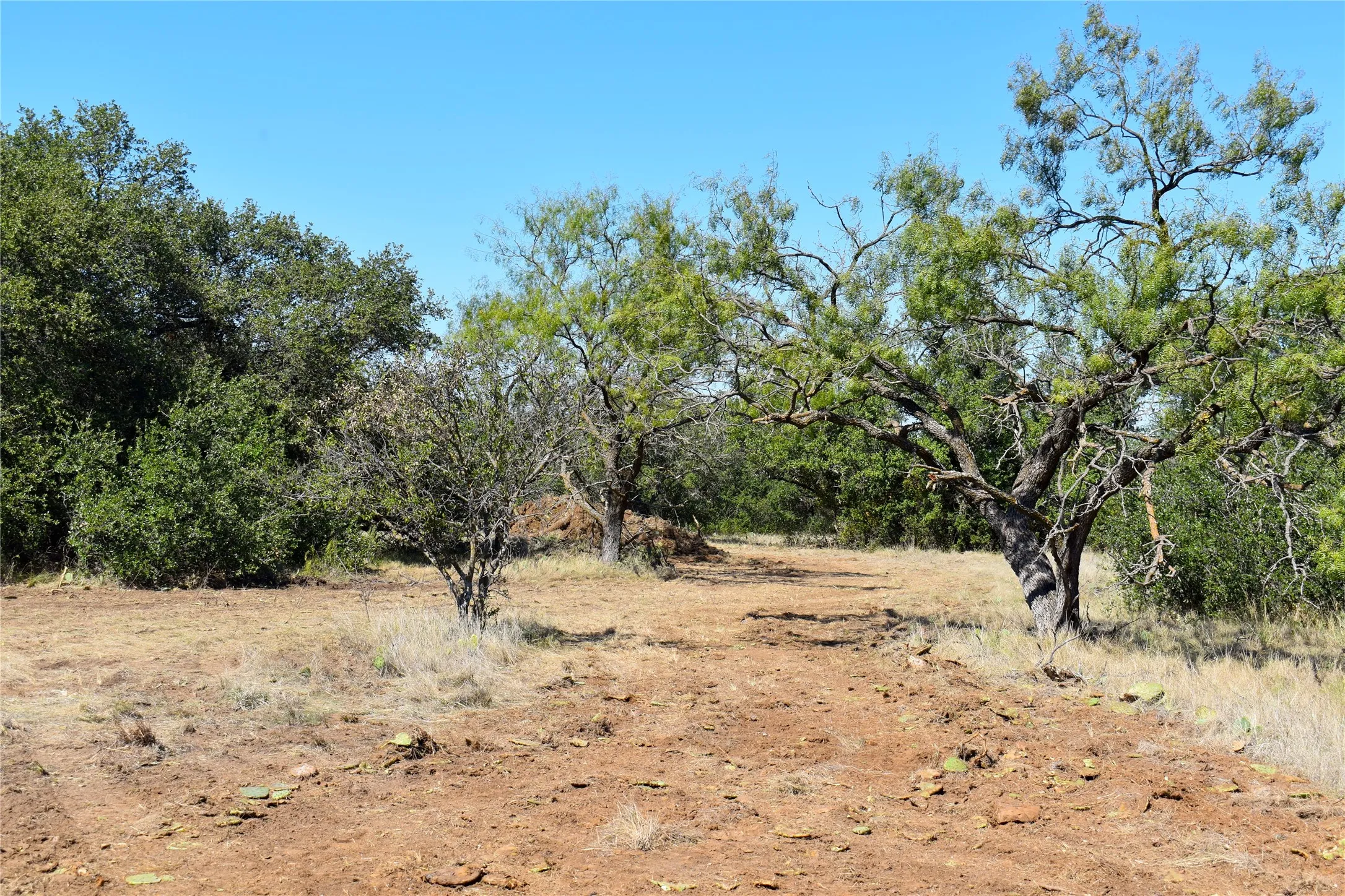 Unimproved Land For Sale in Stephens County , TBD E FM 576, Breckenridge, Texas 76434, 0, 0, Garage spaces, 0 Sqft, built in 0, mls#21300132, Real Estate Agent in Breckenridge, Homes For Sale in Stephens county, Homes For Sale in Breckenridge, Realtor in Breckenridge Texas, Real Estate Brokerage Independent Realty Texas, Luminita Cordes Realtor