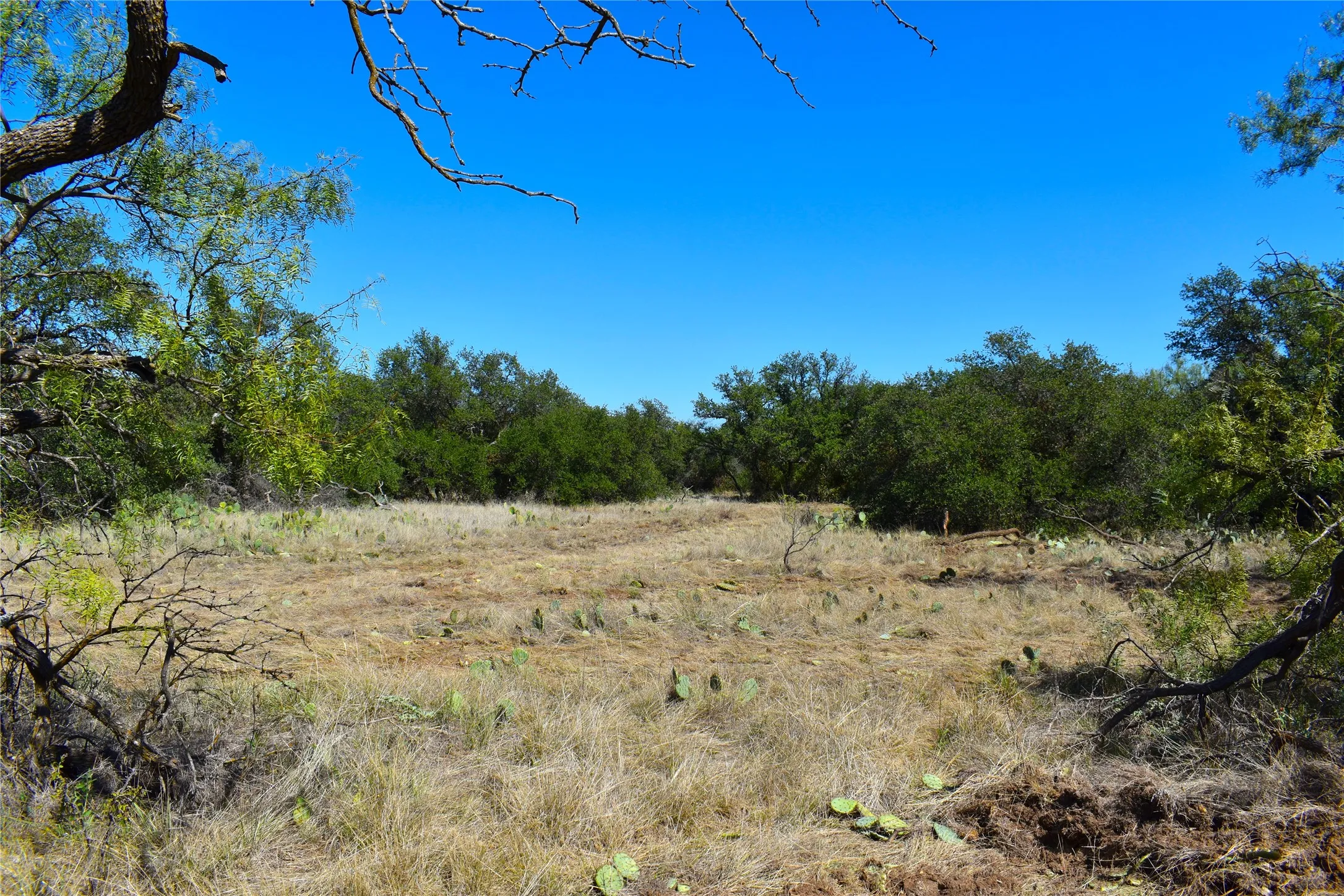 Unimproved Land For Sale in Stephens County , TBD E FM 576, Breckenridge, Texas 76434, 0, 0, Garage spaces, 0 Sqft, built in 0, mls#21300132, Real Estate Agent in Breckenridge, Homes For Sale in Stephens county, Homes For Sale in Breckenridge, Realtor in Breckenridge Texas, Real Estate Brokerage Independent Realty Texas, Luminita Cordes Realtor