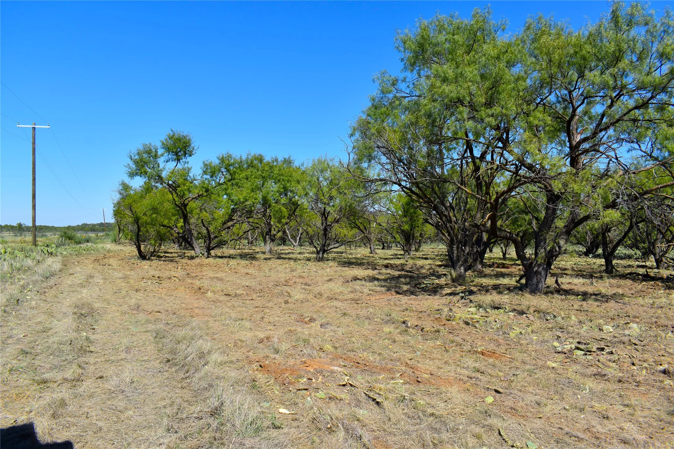 Unimproved Land For Sale in Stephens County , TBD E FM 576, Breckenridge, Texas 76434, 0, 0, Garage spaces, 0 Sqft, built in 0, mls#21300132, Real Estate Agent in Breckenridge, Homes For Sale in Stephens county, Homes For Sale in Breckenridge, Realtor in Breckenridge Texas, Real Estate Brokerage Independent Realty Texas, Luminita Cordes Realtor