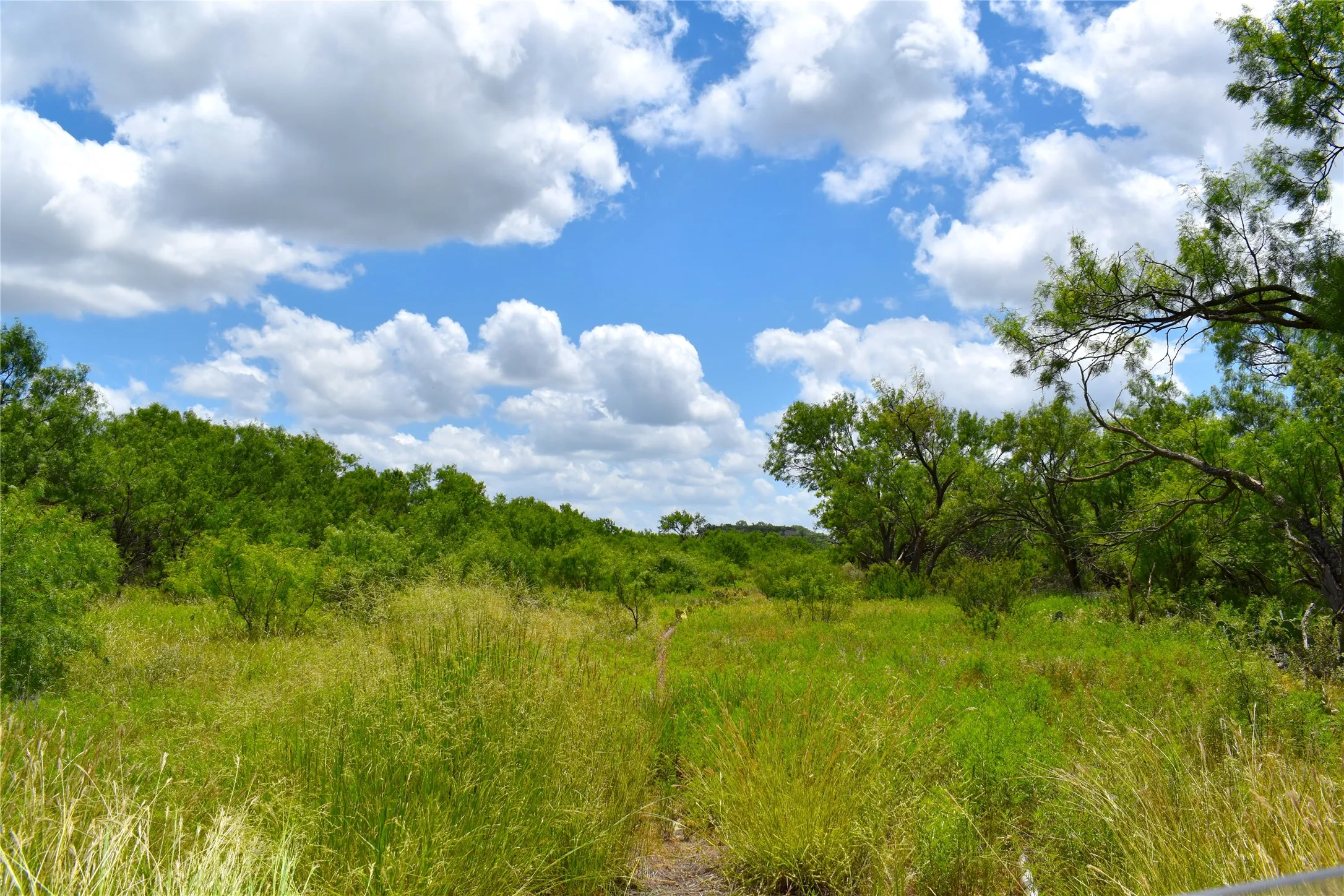 Unimproved Land For Sale in Stephens County , TBD E FM 576, Breckenridge, Texas 76434, 0, 0, Garage spaces, 0 Sqft, built in 0, mls#21300132, Real Estate Agent in Breckenridge, Homes For Sale in Stephens county, Homes For Sale in Breckenridge, Realtor in Breckenridge Texas, Real Estate Brokerage Independent Realty Texas, Luminita Cordes Realtor