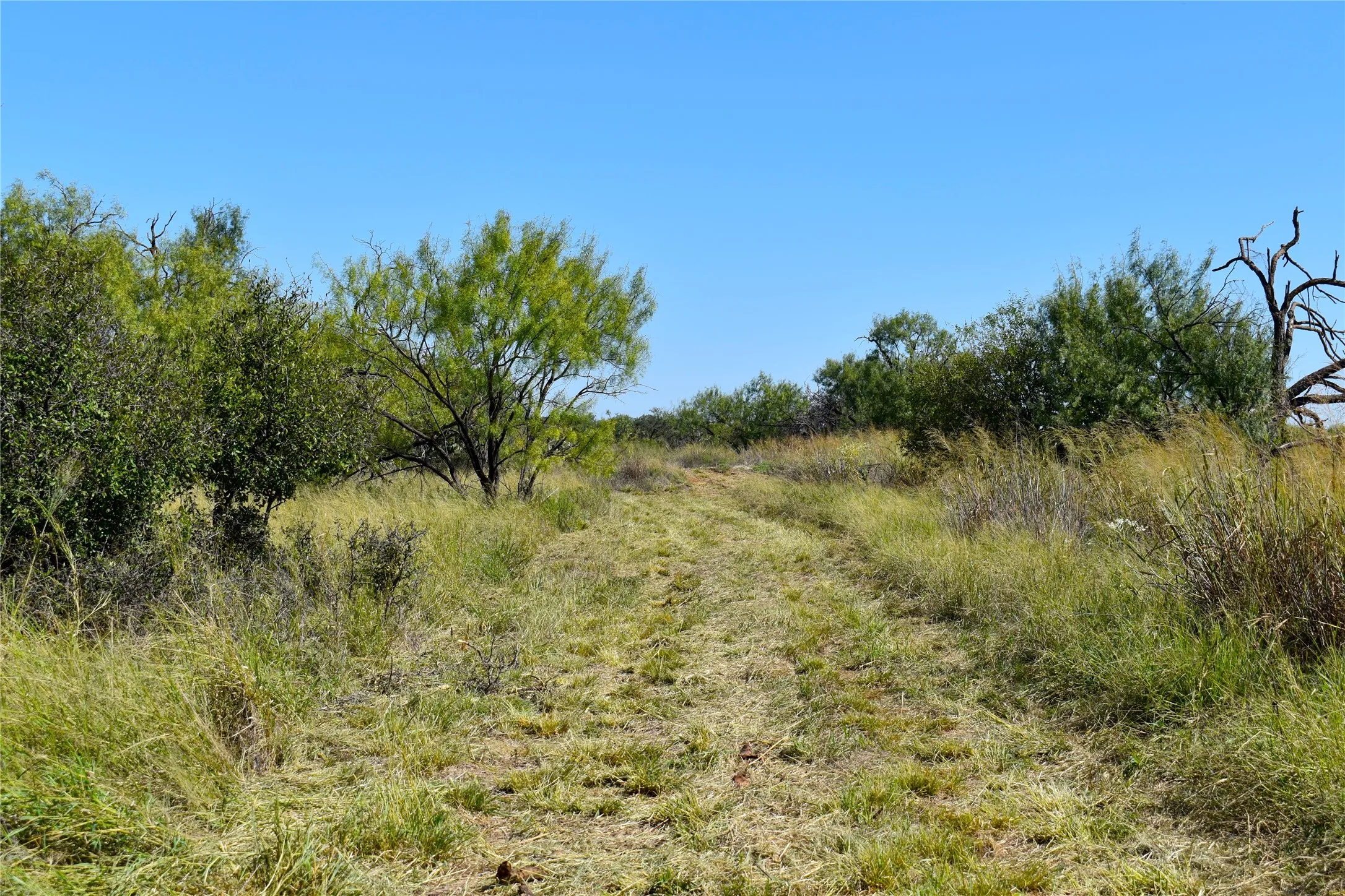 Unimproved Land For Sale in Stephens County , TBD E FM 576, Breckenridge, Texas 76434, 0, 0, Garage spaces, 0 Sqft, built in 0, mls#21300132, Real Estate Agent in Breckenridge, Homes For Sale in Stephens county, Homes For Sale in Breckenridge, Realtor in Breckenridge Texas, Real Estate Brokerage Independent Realty Texas, Luminita Cordes Realtor