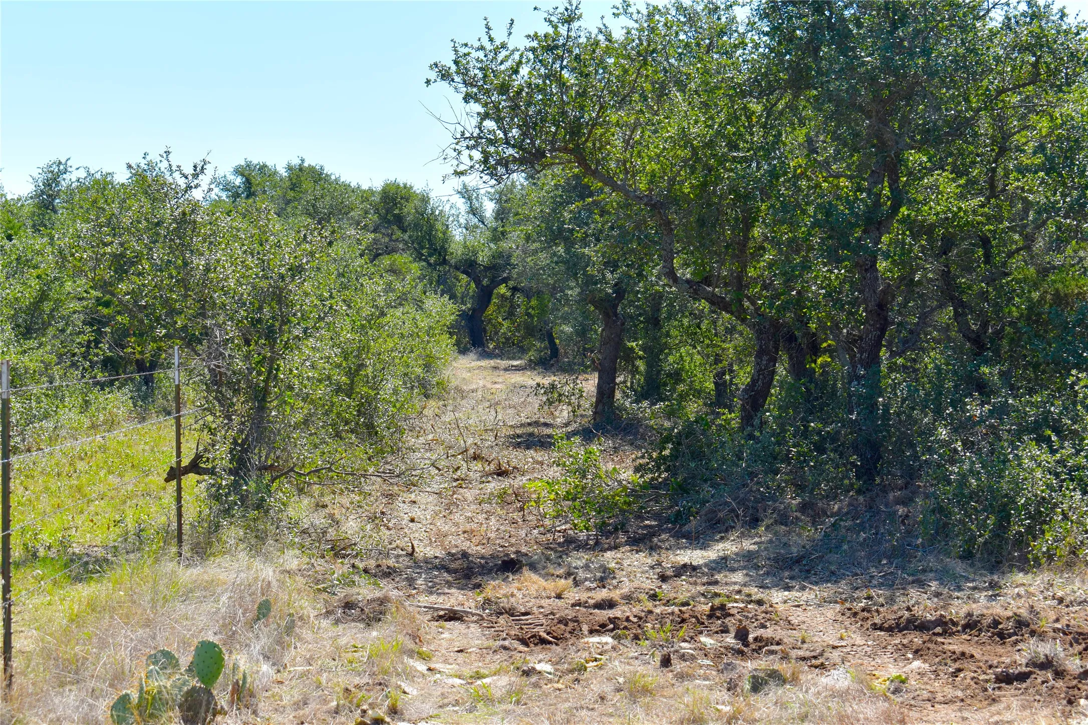 Unimproved Land For Sale in Stephens County , TBD E FM 576, Breckenridge, Texas 76434, 0, 0, Garage spaces, 0 Sqft, built in 0, mls#21300132, Real Estate Agent in Breckenridge, Homes For Sale in Stephens county, Homes For Sale in Breckenridge, Realtor in Breckenridge Texas, Real Estate Brokerage Independent Realty Texas, Luminita Cordes Realtor