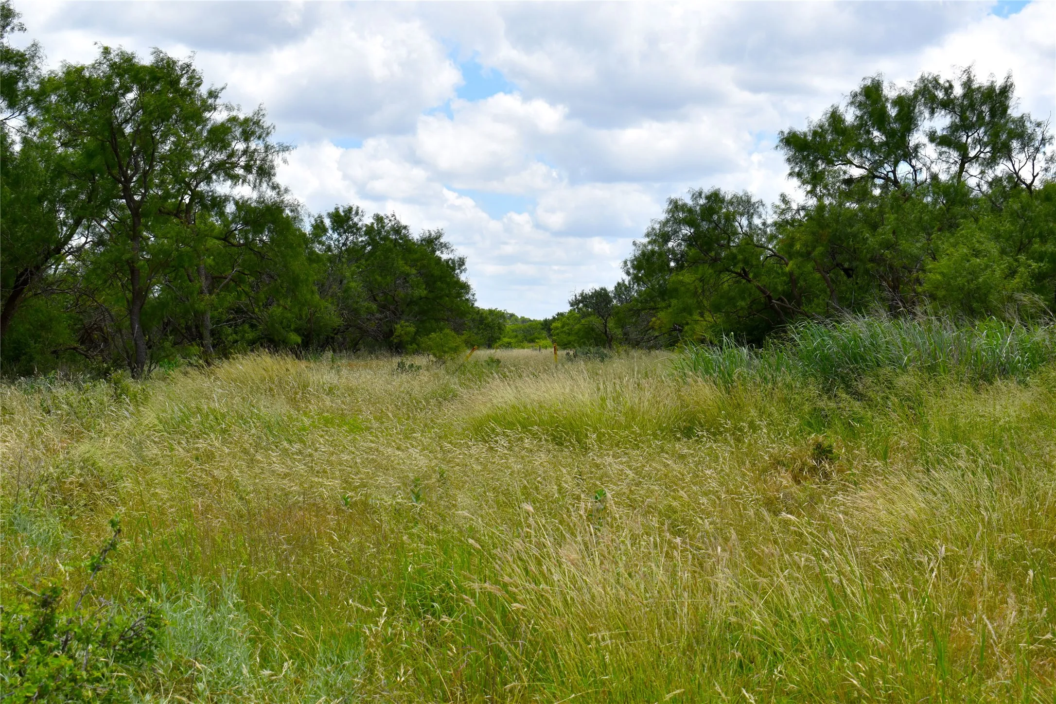 Unimproved Land For Sale in Stephens County , TBD E FM 576, Breckenridge, Texas 76434, 0, 0, Garage spaces, 0 Sqft, built in 0, mls#21300132, Real Estate Agent in Breckenridge, Homes For Sale in Stephens county, Homes For Sale in Breckenridge, Realtor in Breckenridge Texas, Real Estate Brokerage Independent Realty Texas, Luminita Cordes Realtor