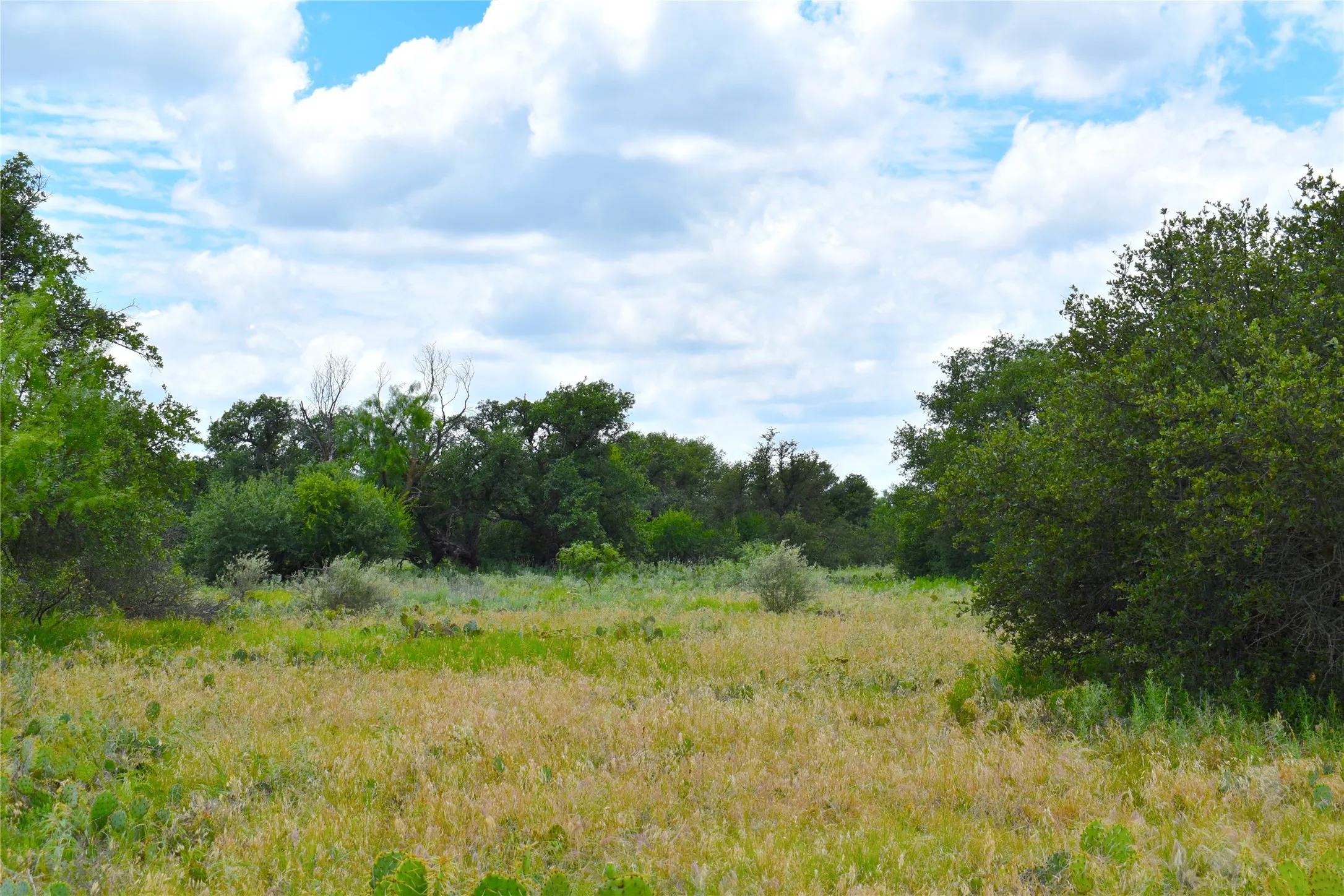 Unimproved Land For Sale in Stephens County , TBD E FM 576, Breckenridge, Texas 76434, 0, 0, Garage spaces, 0 Sqft, built in 0, mls#21300132, Real Estate Agent in Breckenridge, Homes For Sale in Stephens county, Homes For Sale in Breckenridge, Realtor in Breckenridge Texas, Real Estate Brokerage Independent Realty Texas, Luminita Cordes Realtor