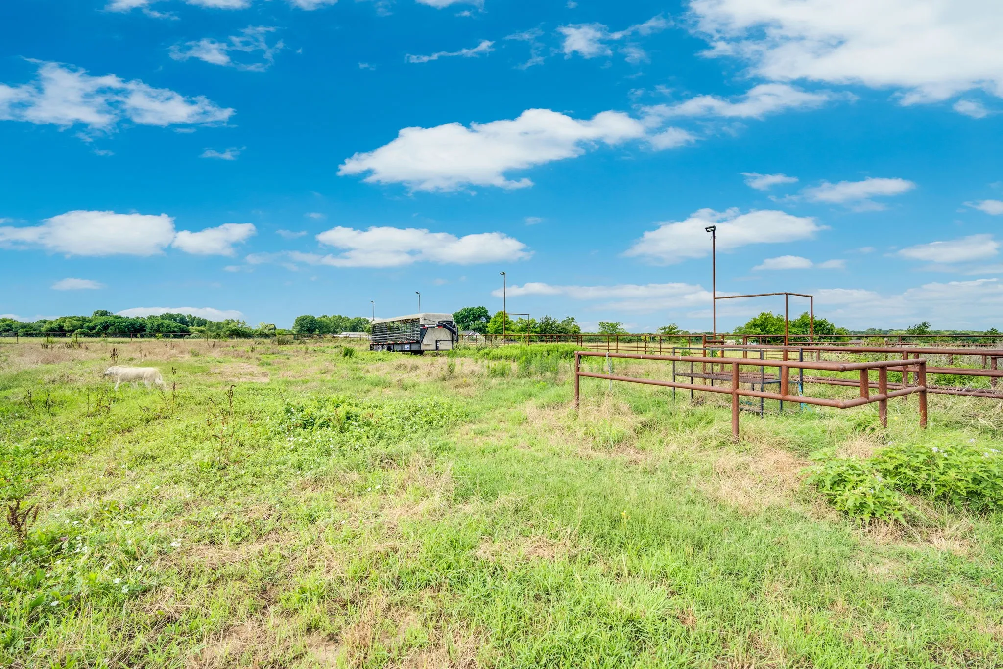 Single Family Residence For Sale in Ellis County , 61 Rockett Lane, Pecan Hill, Texas 75154, 4 Bedroom, 3 Bathroom, 1 Garage spaces, 2,885 Sqft, built in 2016, mls#21297961, Real Estate Agent in Pecan Hill, Homes For Sale in Ellis county, Homes For Sale in Pecan Hill, Realtor in Pecan Hill Texas, Real Estate Brokerage Independent Realty Texas, Luminita Cordes Realtor
