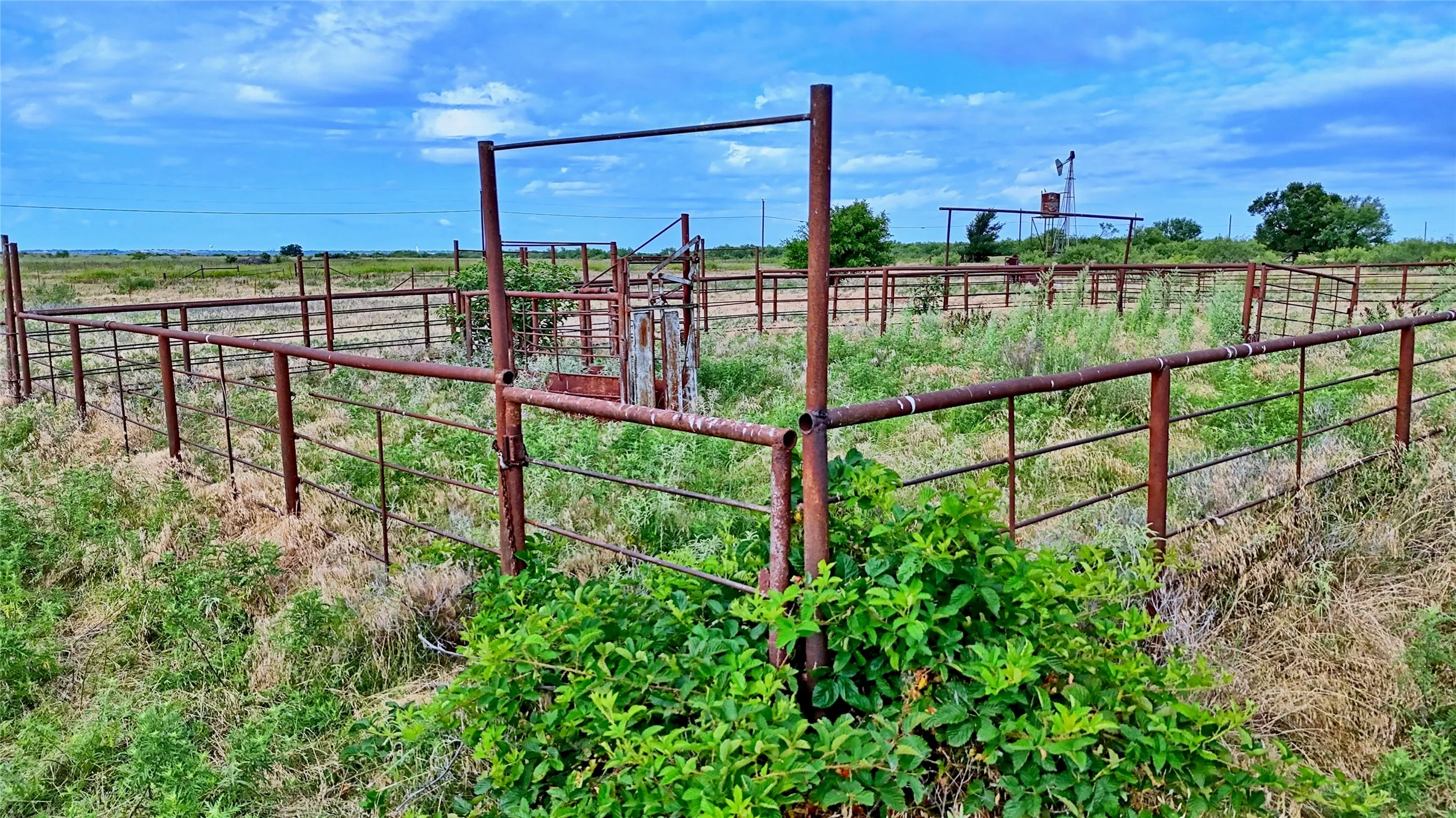 Improved Land For Sale in Clay County , 576 Seabourn Rd, Henrietta, Texas 76365, 0, 0, Garage spaces, 0 Sqft, built in 2016, Price $2,250,000, mls#21301230, Real Estate Agent in Henrietta, Homes For Sale in Clay county, Homes For Sale in Henrietta, Realtor in Henrietta Texas, Real Estate Brokerage Independent Realty Texas, Luminita Cordes Realtor