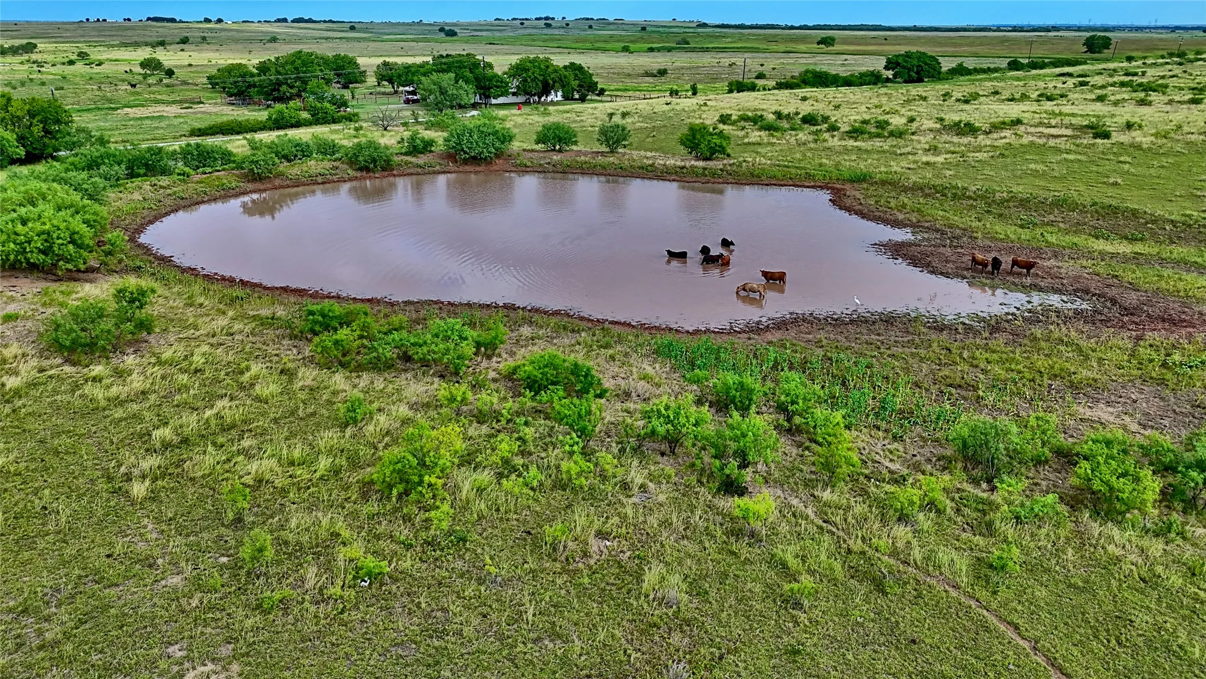 Improved Land For Sale in Clay County , 576 Seabourn Rd, Henrietta, Texas 76365, 0, 0, Garage spaces, 0 Sqft, built in 2016, Price $2,250,000, mls#21301230, Real Estate Agent in Henrietta, Homes For Sale in Clay county, Homes For Sale in Henrietta, Realtor in Henrietta Texas, Real Estate Brokerage Independent Realty Texas, Luminita Cordes Realtor