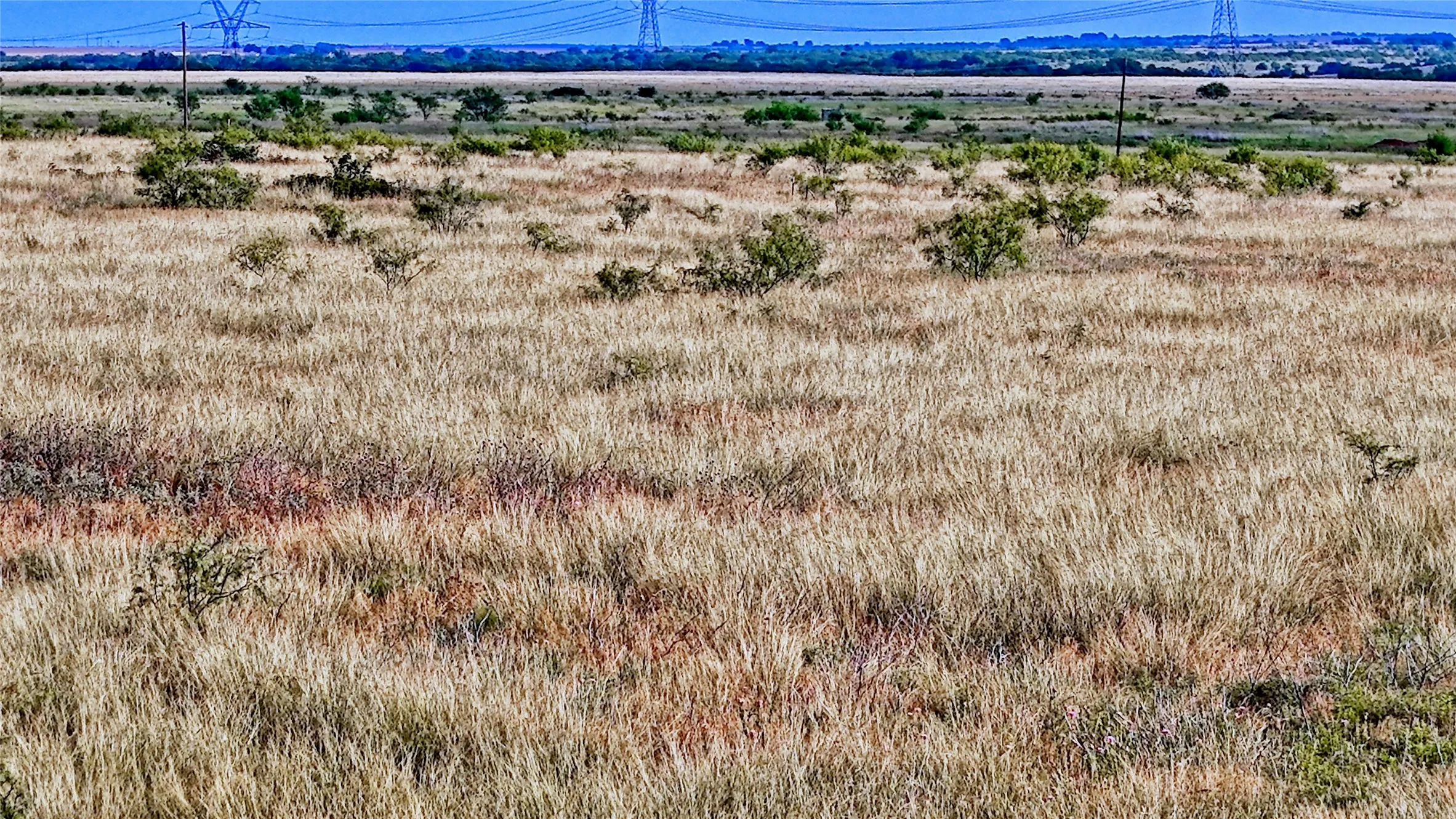Improved Land For Sale in Clay County , 576 Seabourn Rd, Henrietta, Texas 76365, 0, 0, Garage spaces, 0 Sqft, built in 2016, Price $2,250,000, mls#21301230, Real Estate Agent in Henrietta, Homes For Sale in Clay county, Homes For Sale in Henrietta, Realtor in Henrietta Texas, Real Estate Brokerage Independent Realty Texas, Luminita Cordes Realtor