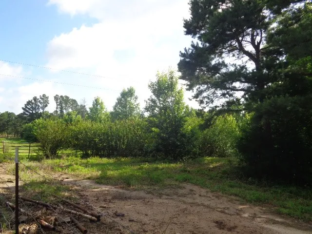 Unimproved Land For Sale in Wood County , TBD County Road 4568, Quitman, Texas 75494, 0, 0, Garage spaces, 0 Sqft, built in 0, mls#21301246, Real Estate Agent in Quitman, Homes For Sale in Wood county, Homes For Sale in Quitman, Realtor in Quitman Texas, Real Estate Brokerage Independent Realty Texas, Luminita Cordes Realtor