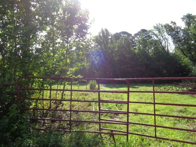 Unimproved Land For Sale in Wood County , TBD County Road 4568, Quitman, Texas 75494, 0, 0, Garage spaces, 0 Sqft, built in 0, mls#21301246, Real Estate Agent in Quitman, Homes For Sale in Wood county, Homes For Sale in Quitman, Realtor in Quitman Texas, Real Estate Brokerage Independent Realty Texas, Luminita Cordes Realtor