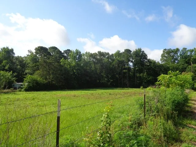 Unimproved Land For Sale in Wood County , TBD County Road 4568, Quitman, Texas 75494, 0, 0, Garage spaces, 0 Sqft, built in 0, mls#21301246, Real Estate Agent in Quitman, Homes For Sale in Wood county, Homes For Sale in Quitman, Realtor in Quitman Texas, Real Estate Brokerage Independent Realty Texas, Luminita Cordes Realtor