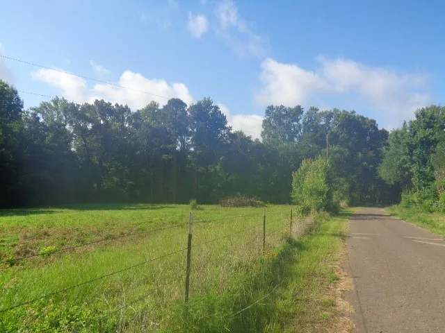 Unimproved Land For Sale in Wood County , TBD County Road 4568, Quitman, Texas 75494, 0, 0, Garage spaces, 0 Sqft, built in 0, mls#21301246, Real Estate Agent in Quitman, Homes For Sale in Wood county, Homes For Sale in Quitman, Realtor in Quitman Texas, Real Estate Brokerage Independent Realty Texas, Luminita Cordes Realtor