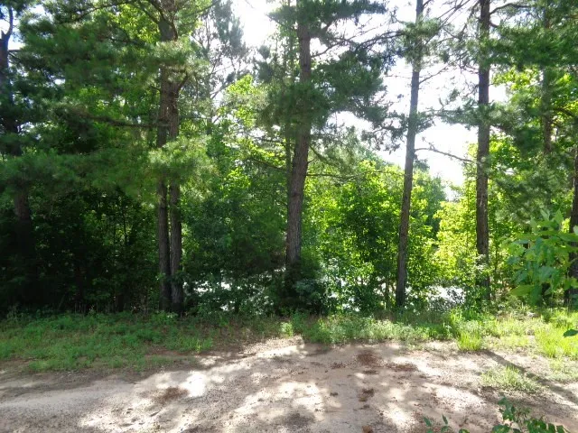 Unimproved Land For Sale in Wood County , TBD County Road 4568, Quitman, Texas 75494, 0, 0, Garage spaces, 0 Sqft, built in 0, mls#21301246, Real Estate Agent in Quitman, Homes For Sale in Wood county, Homes For Sale in Quitman, Realtor in Quitman Texas, Real Estate Brokerage Independent Realty Texas, Luminita Cordes Realtor