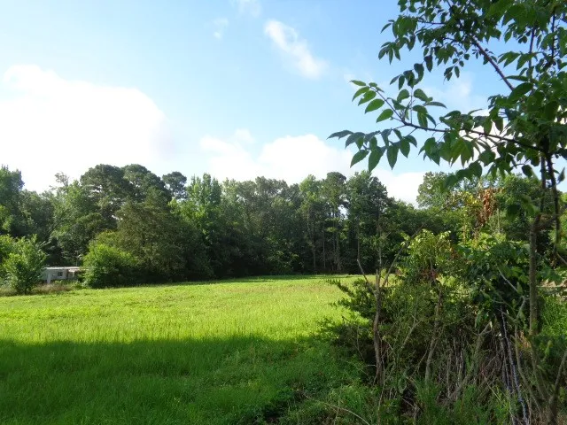 Unimproved Land For Sale in Wood County , TBD County Road 4568, Quitman, Texas 75494, 0, 0, Garage spaces, 0 Sqft, built in 0, mls#21301246, Real Estate Agent in Quitman, Homes For Sale in Wood county, Homes For Sale in Quitman, Realtor in Quitman Texas, Real Estate Brokerage Independent Realty Texas, Luminita Cordes Realtor