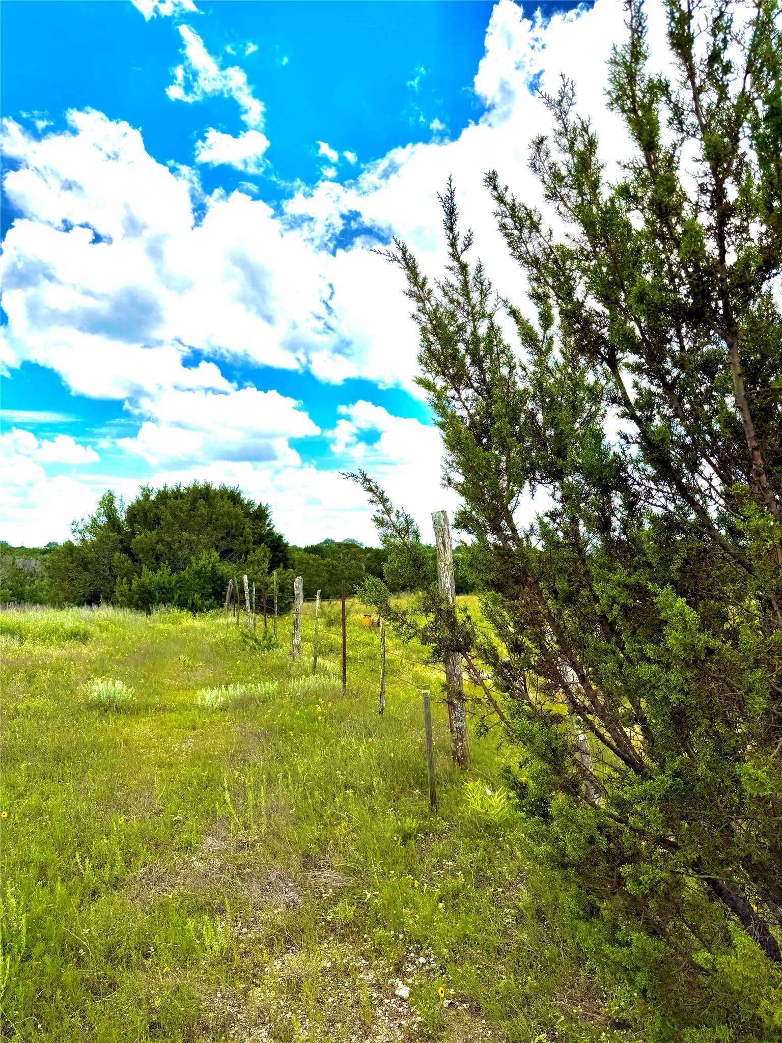 Unimproved Land For Sale in Erath County , TBD Tract 76 Adobe Hill Drive, Stephenville, Texas 76401, 0, 0, Garage spaces, 0 Sqft, built in 0, Price $89,900, mls#21301233, Real Estate Agent in Stephenville, Homes For Sale in Erath county, Homes For Sale in Stephenville, Realtor in Stephenville Texas, Real Estate Brokerage Independent Realty Texas, Luminita Cordes Realtor