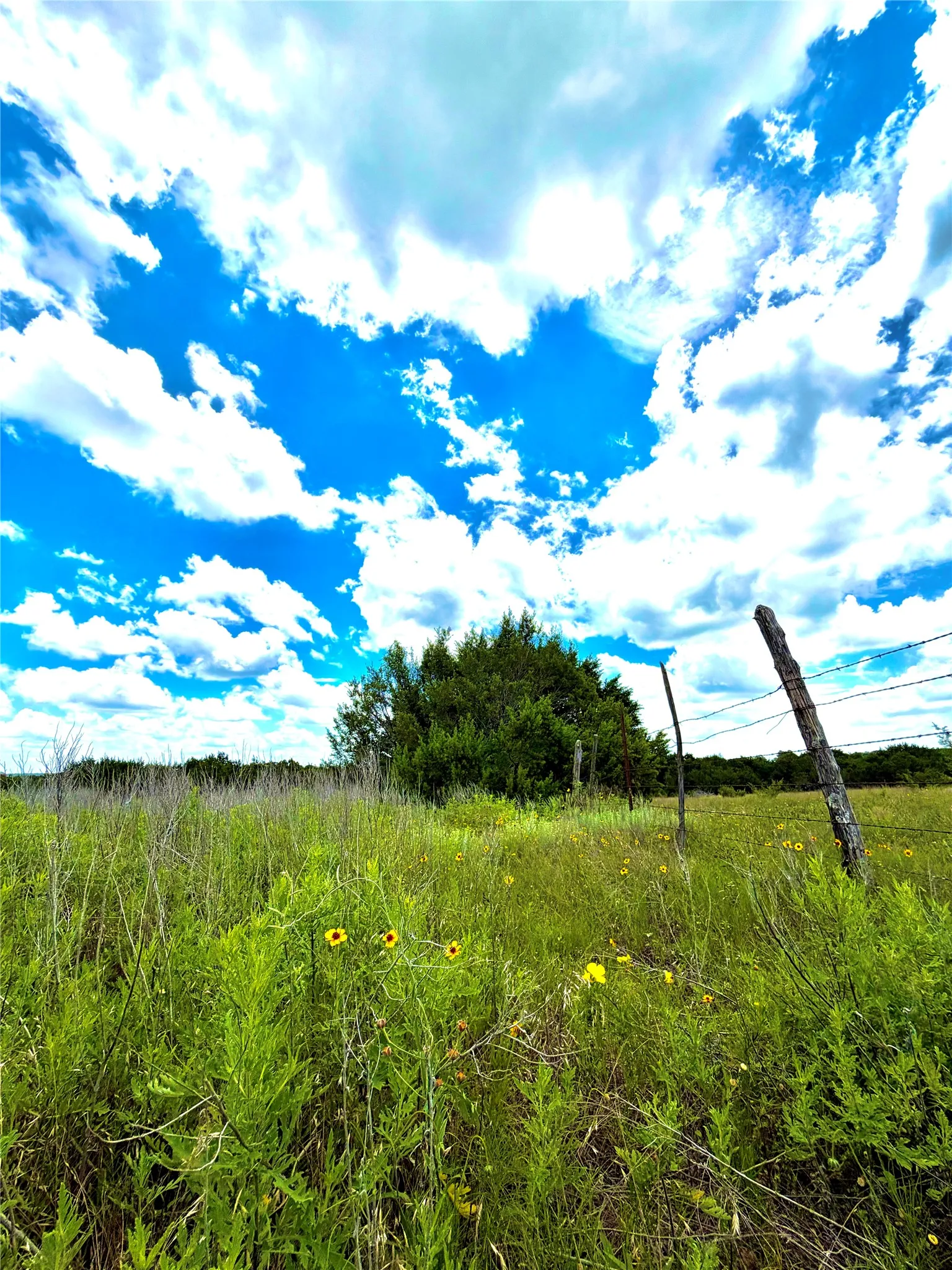 Unimproved Land For Sale in Erath County , TBD Tract 76 Adobe Hill Drive, Stephenville, Texas 76401, 0, 0, Garage spaces, 0 Sqft, built in 0, Price $89,900, mls#21301233, Real Estate Agent in Stephenville, Homes For Sale in Erath county, Homes For Sale in Stephenville, Realtor in Stephenville Texas, Real Estate Brokerage Independent Realty Texas, Luminita Cordes Realtor