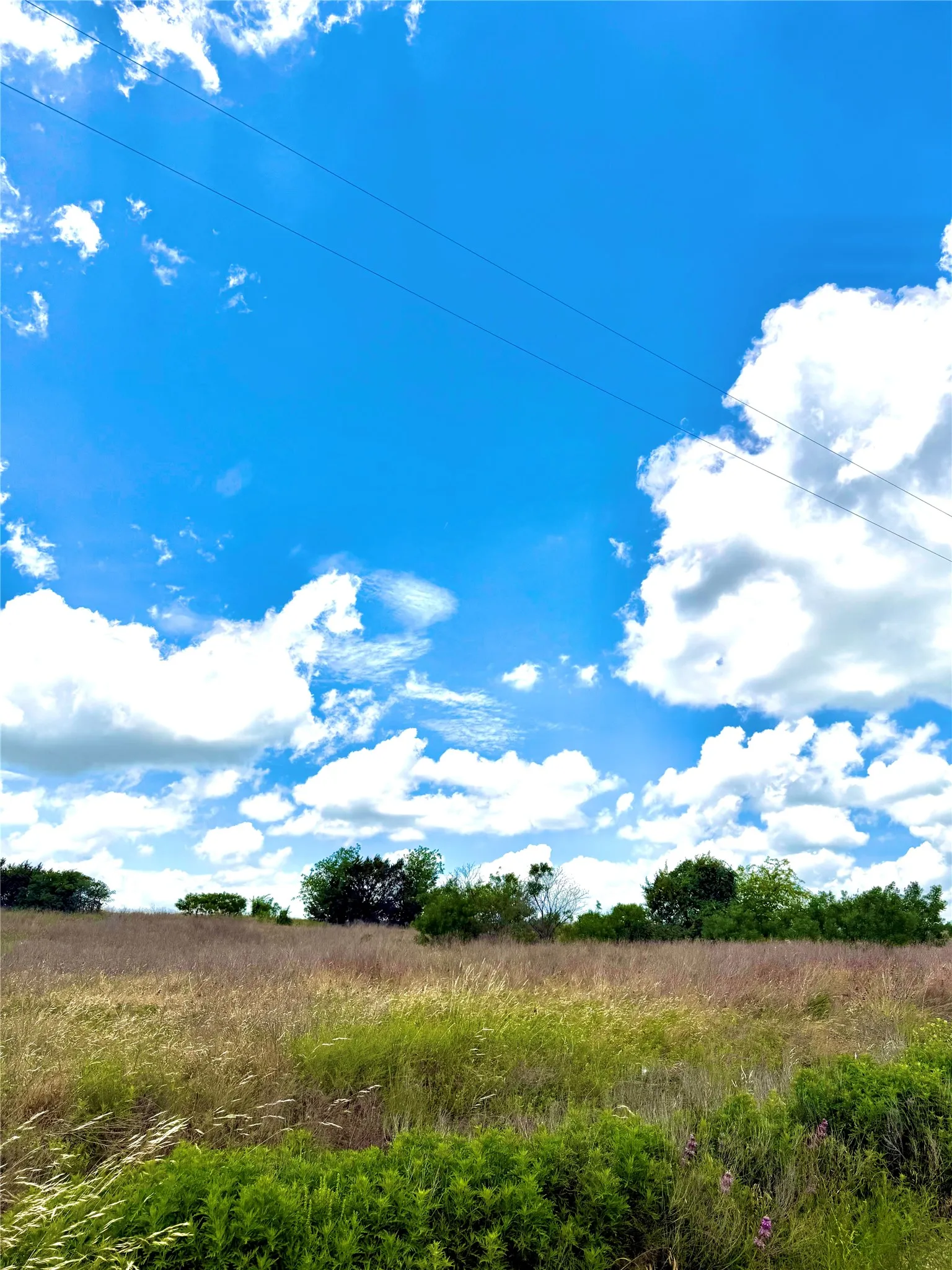 Unimproved Land For Sale in Erath County , TBD Tract 76 Adobe Hill Drive, Stephenville, Texas 76401, 0, 0, Garage spaces, 0 Sqft, built in 0, Price $89,900, mls#21301233, Real Estate Agent in Stephenville, Homes For Sale in Erath county, Homes For Sale in Stephenville, Realtor in Stephenville Texas, Real Estate Brokerage Independent Realty Texas, Luminita Cordes Realtor
