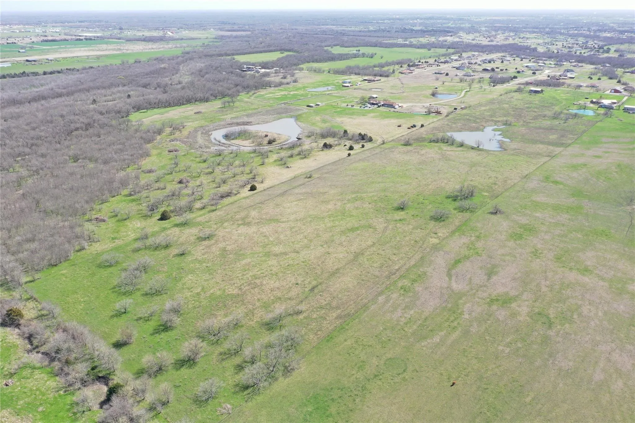 Unimproved Land For Sale in Hunt County , 4790 County Road 2660, Royse City, Texas 75189, 0, 0, Garage spaces, 0 Sqft, built in 0, mls#21296237, Real Estate Agent in Royse City, Homes For Sale in Hunt county, Homes For Sale in Royse City, Realtor in Royse City Texas, Real Estate Brokerage Independent Realty Texas, Luminita Cordes Realtor