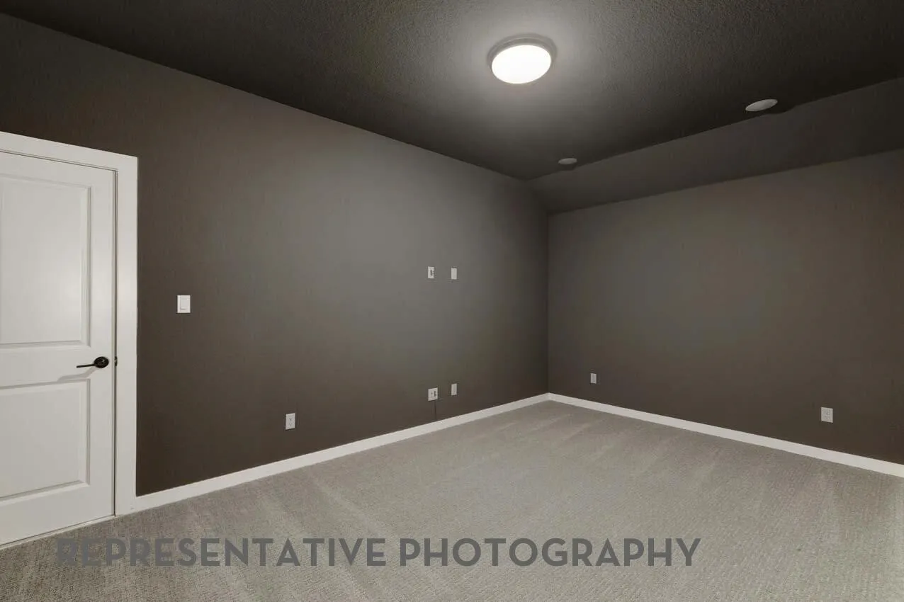Entertainment Room